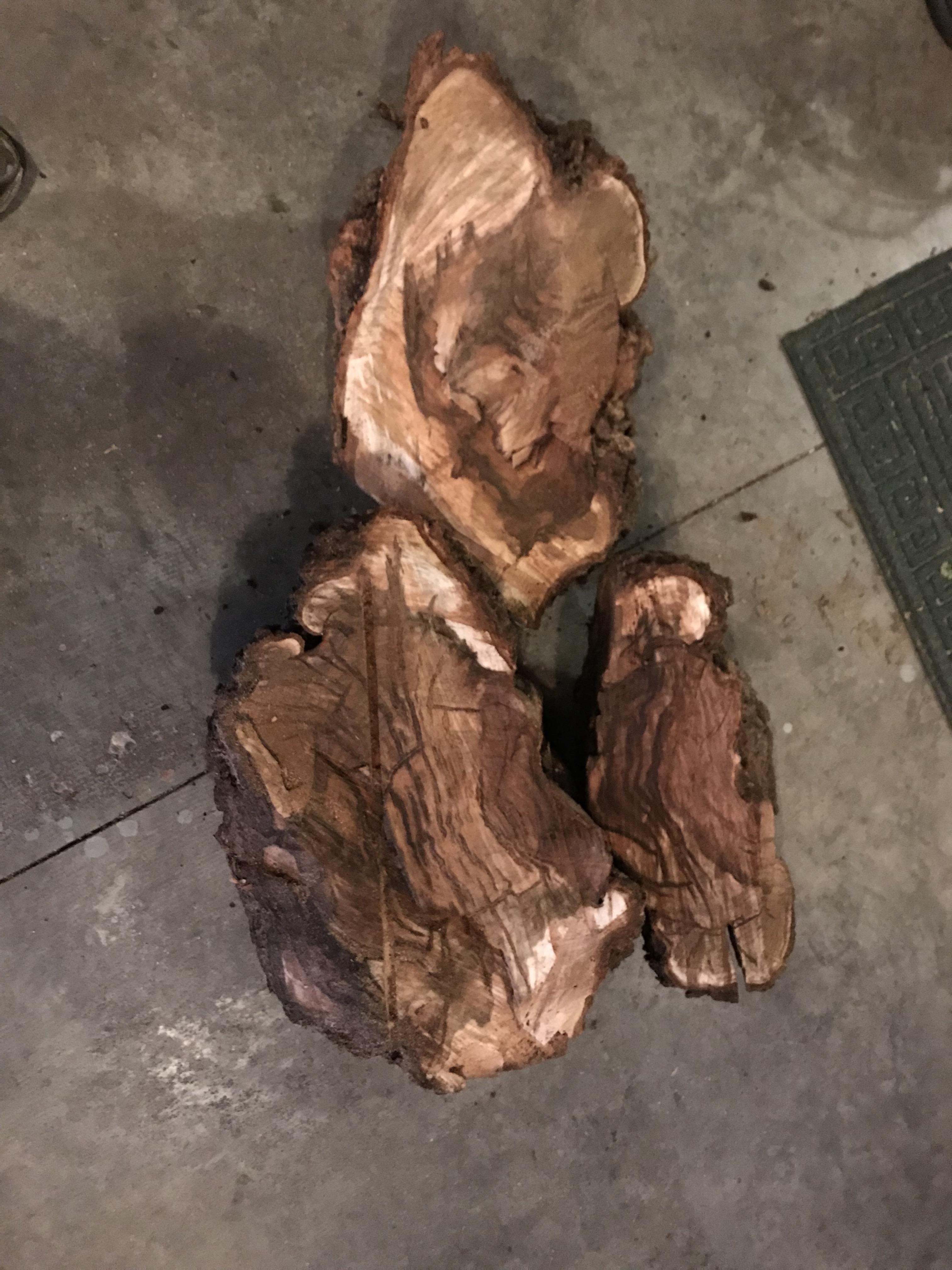 What’s next? I cut down a tree with these three burls. The two big ones