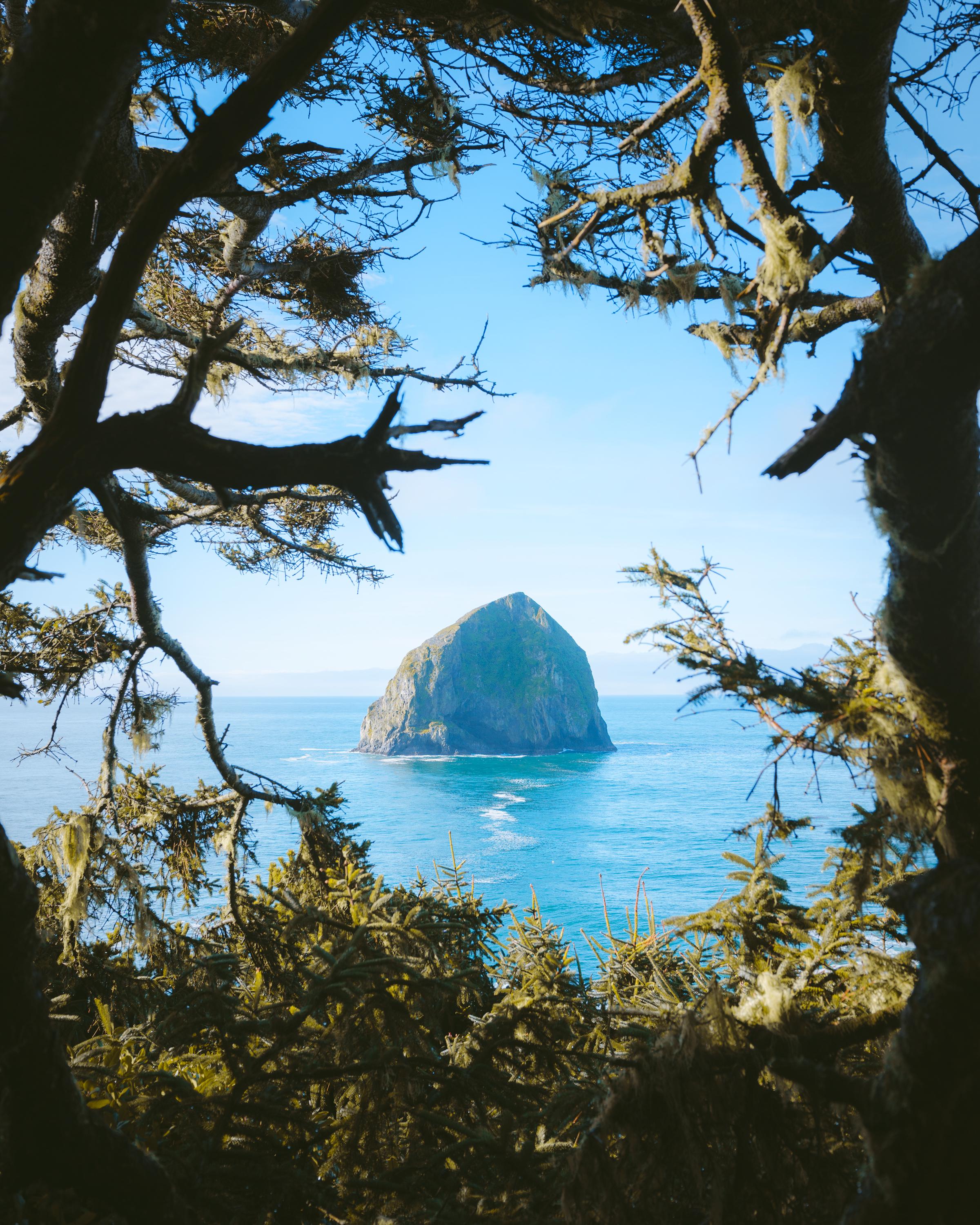 Natural framing on the coast of Oregon [OC] [2400 x 3000] r/EarthPorn