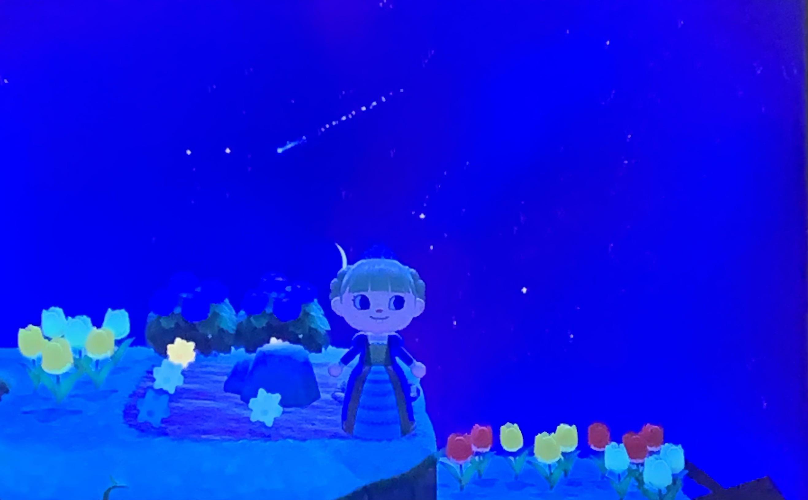 Okay so Kapp’n brought me to an island that has shooting stars and you