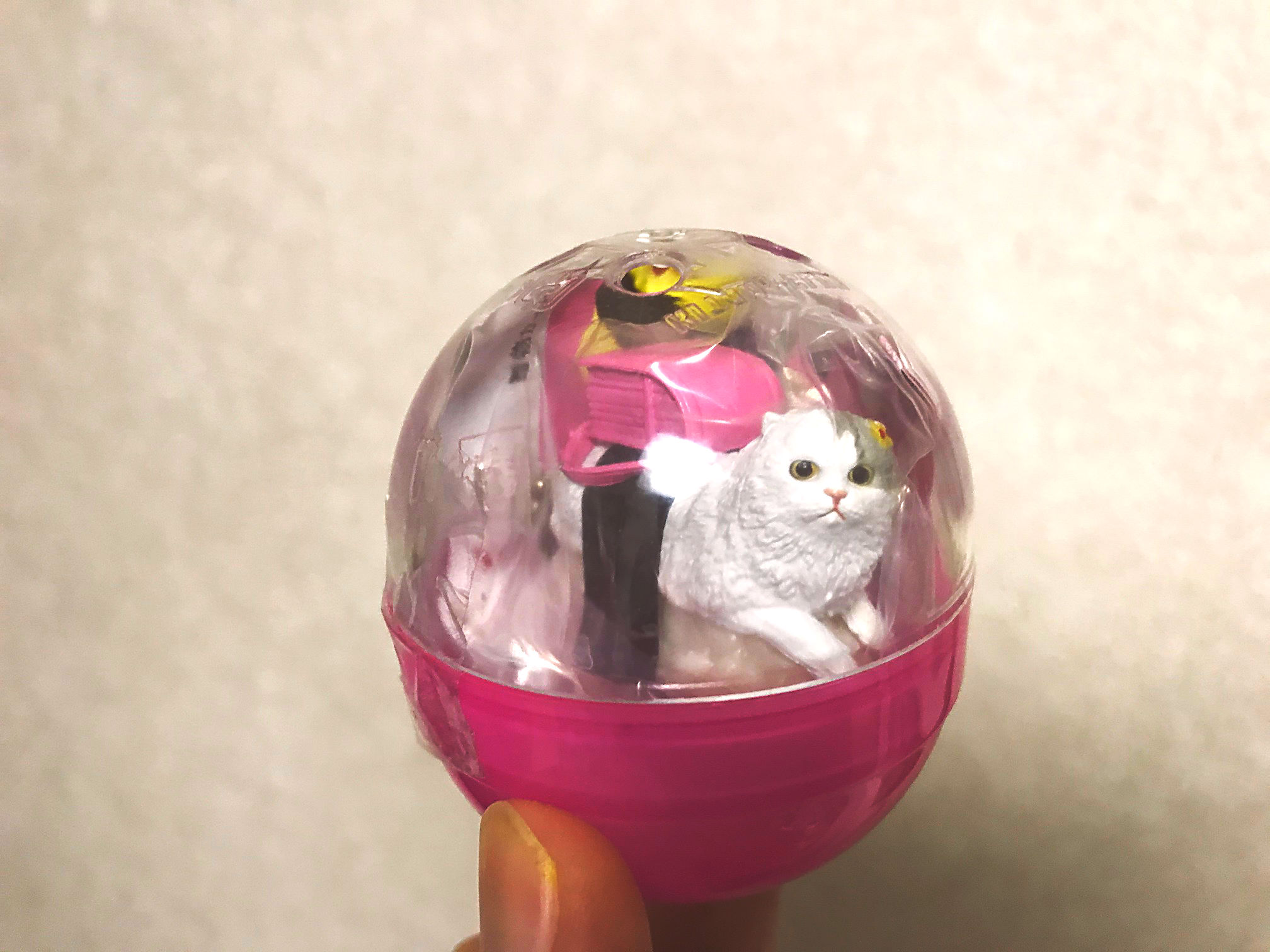 Bought Gashapon of Neko Zushi (Sushi Cat) Nyata!! r/AnimeFigures