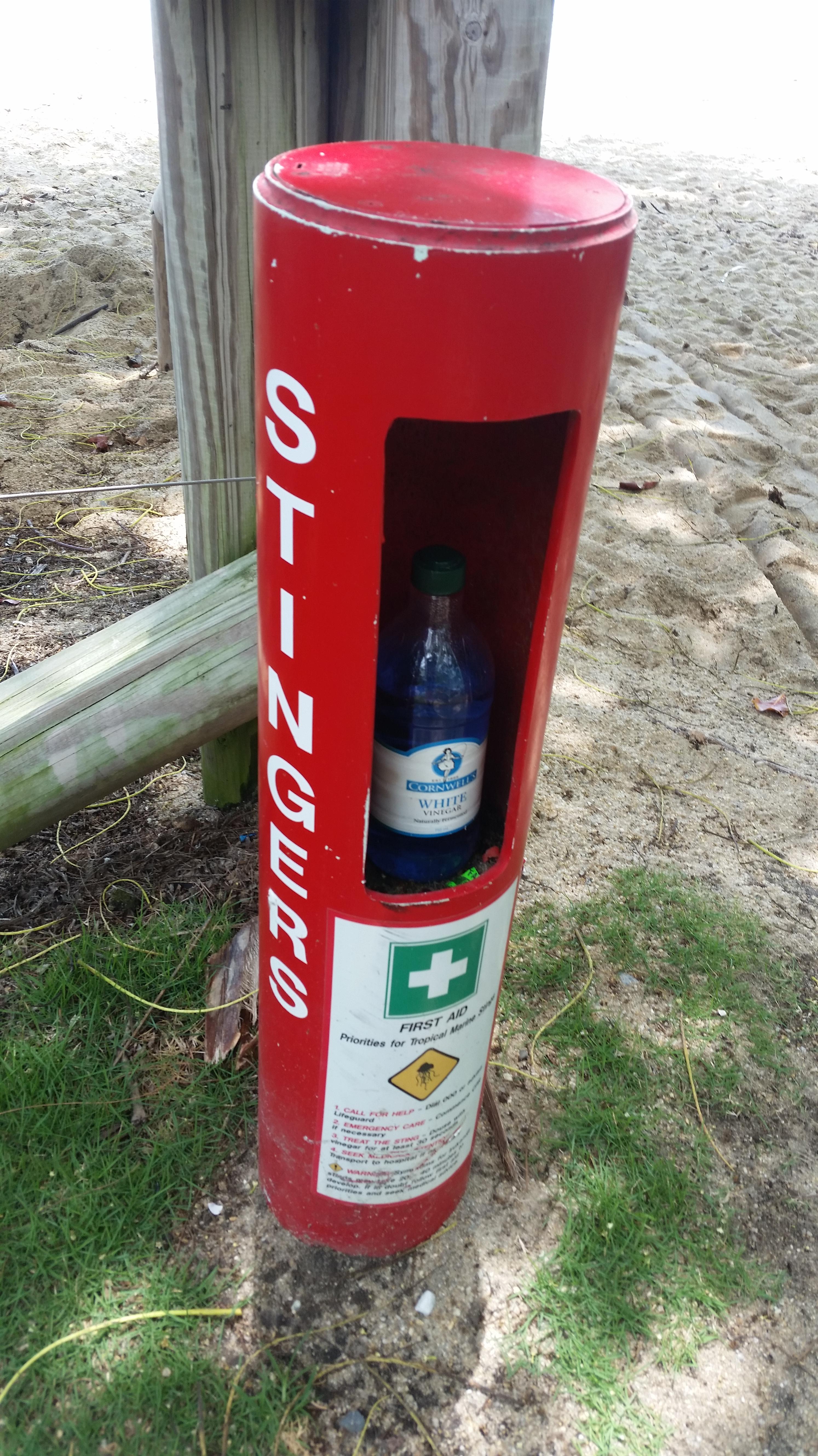 Queensland uses white vinegar to treat jellyfish stings. r