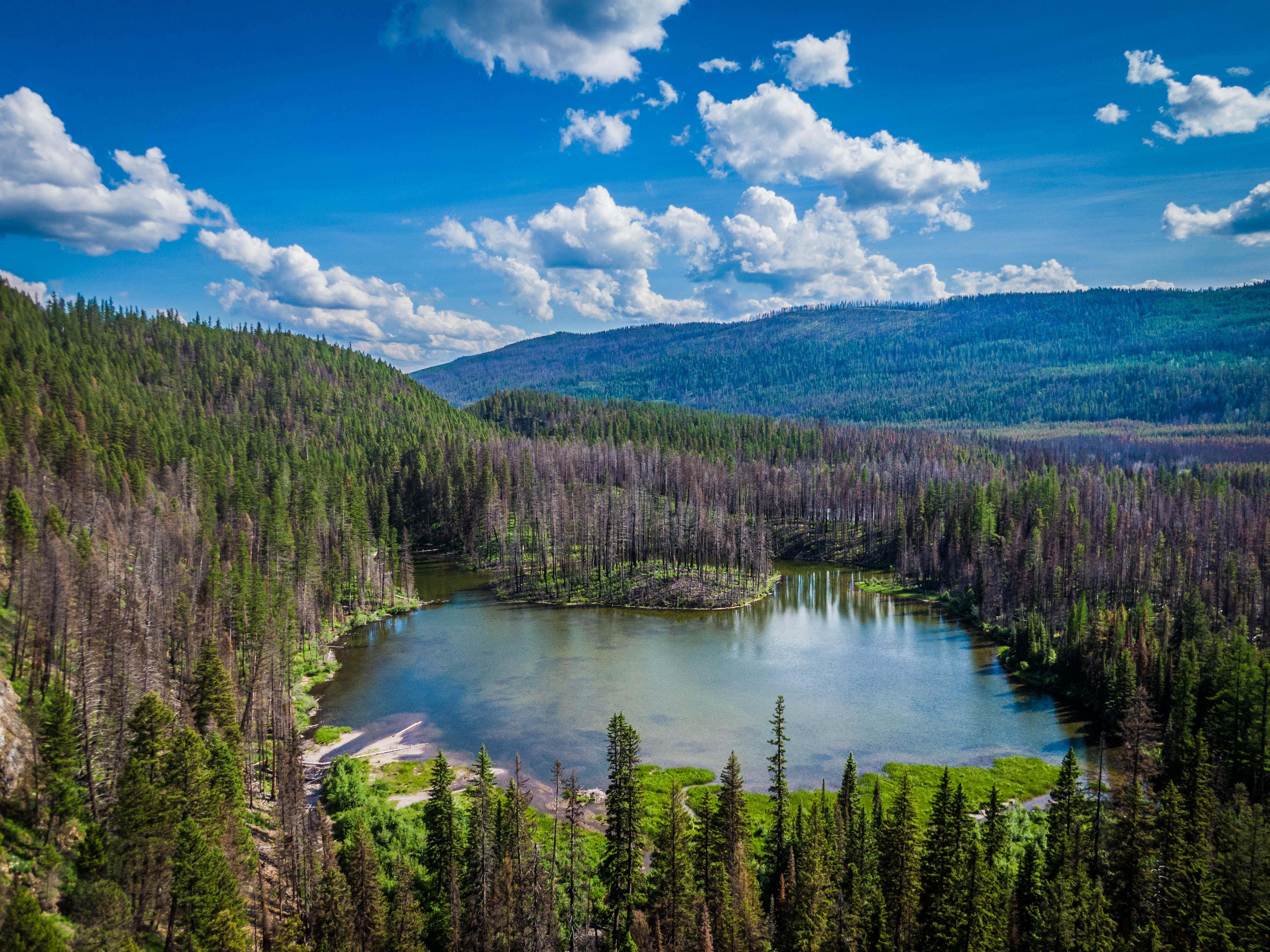 Top view of Morell Lake near Seeley Lake, Montana [OC] [3982 x 2985