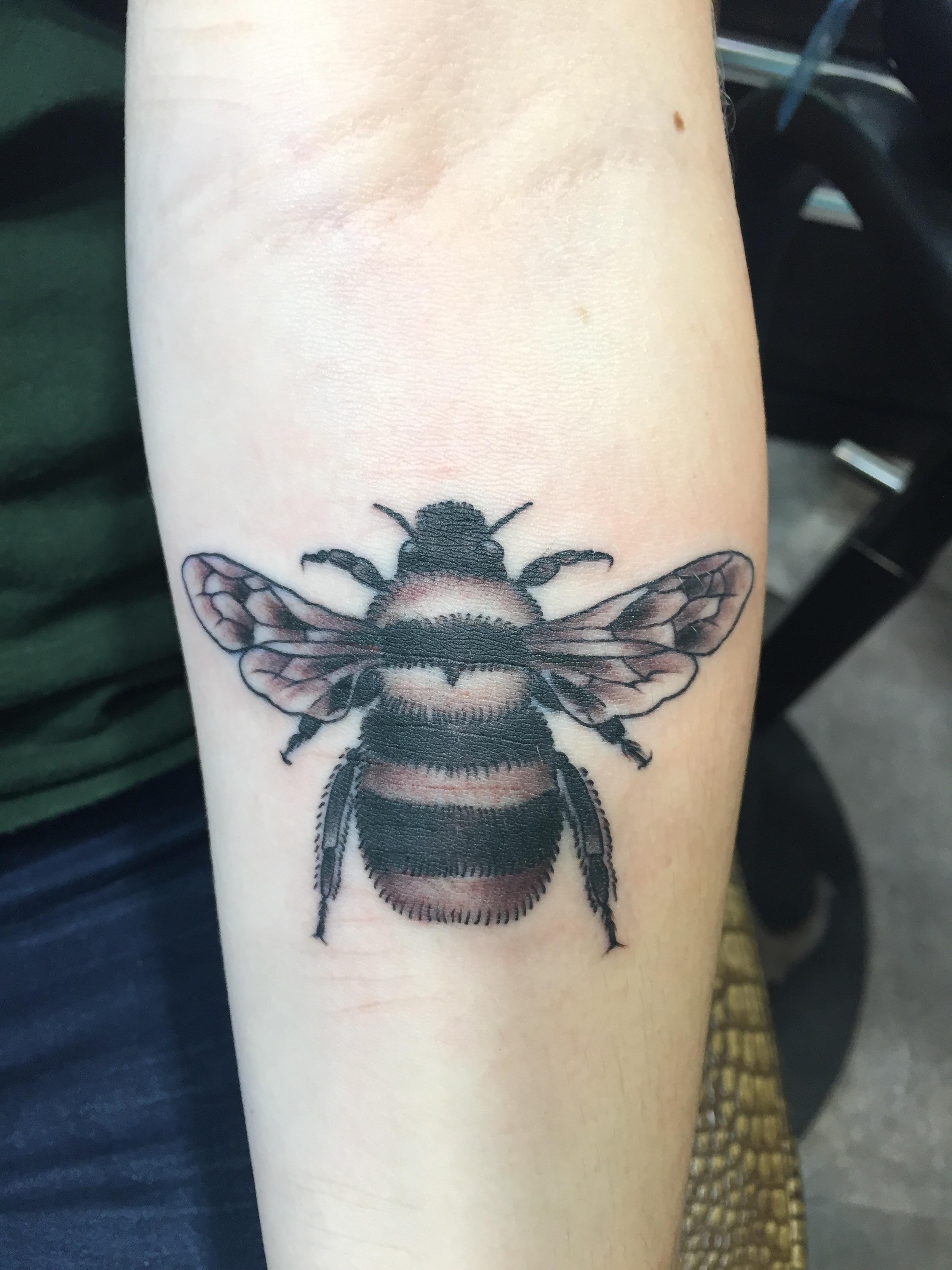 1868 best Anchors End Tattoo images on Pholder The Last Airbender, Tattoos and Greenday