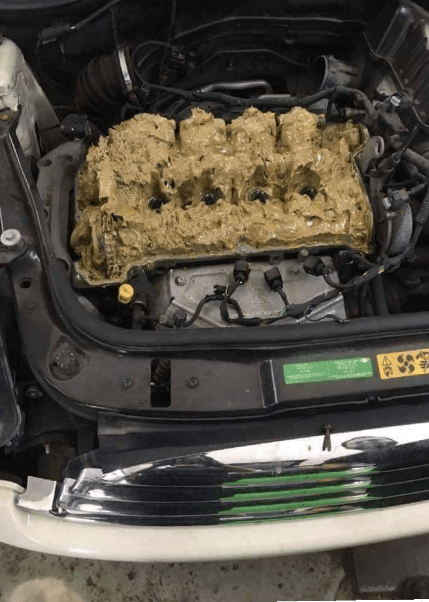1 gallon of washer fluid in the engine oil makes forbidden peanut butter. r/forbiddensnacks