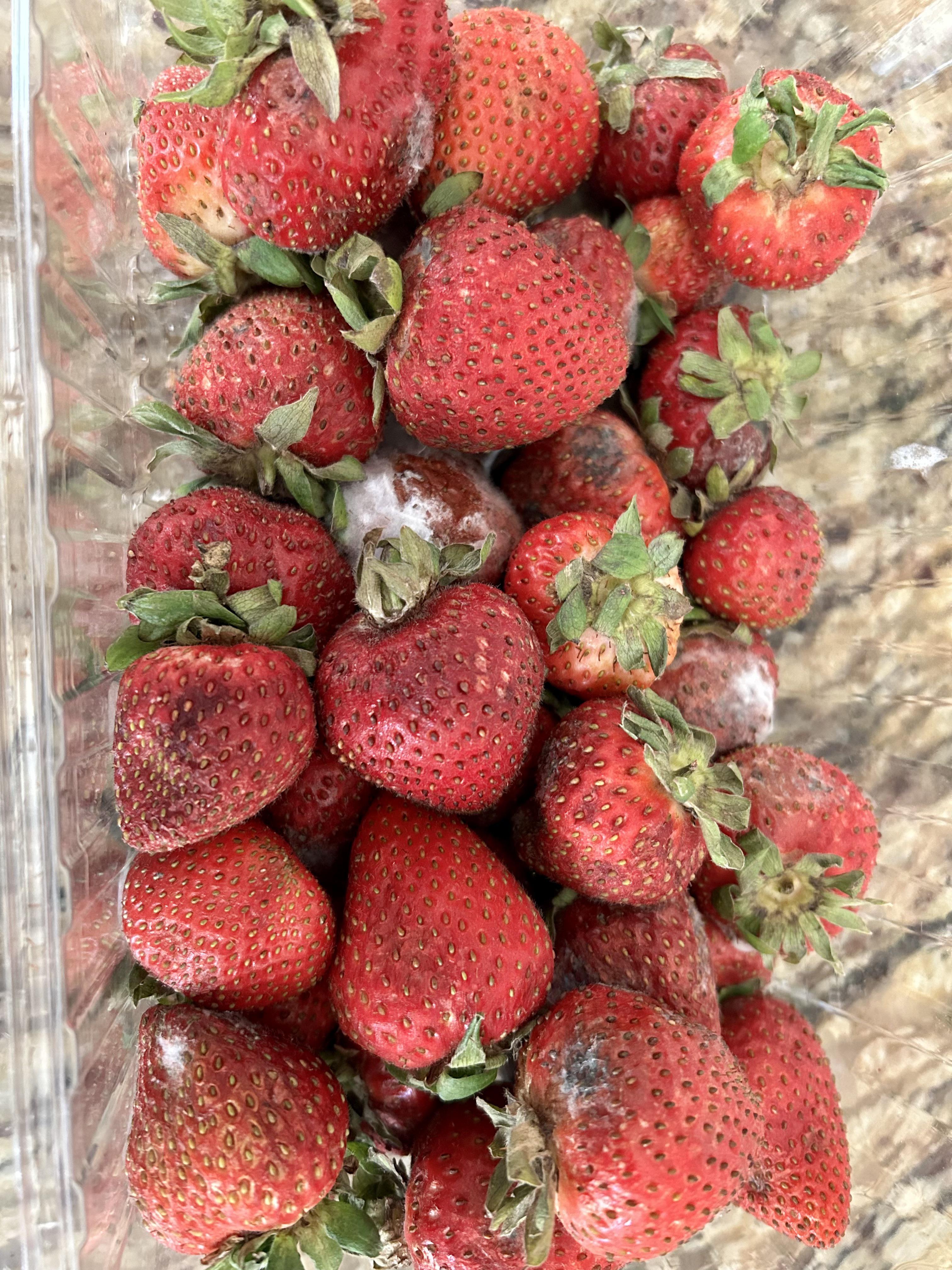 strawberries 🍓bought 3 days ago r/Costco