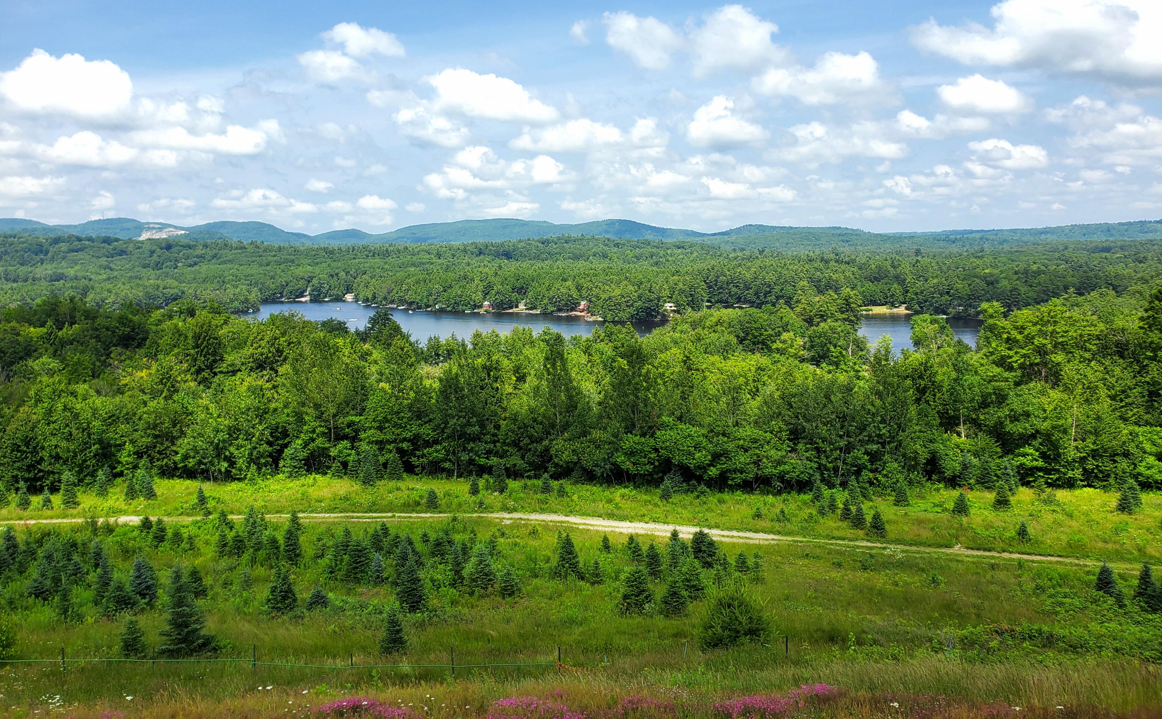 Looking at Sokokis Lake r/Maine