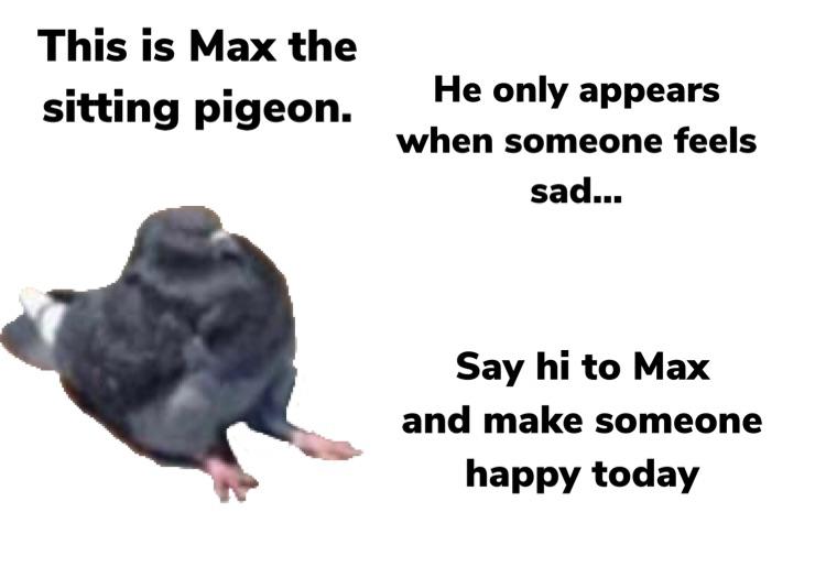 I thought sitting pigeons are cool, maybe some other people like them