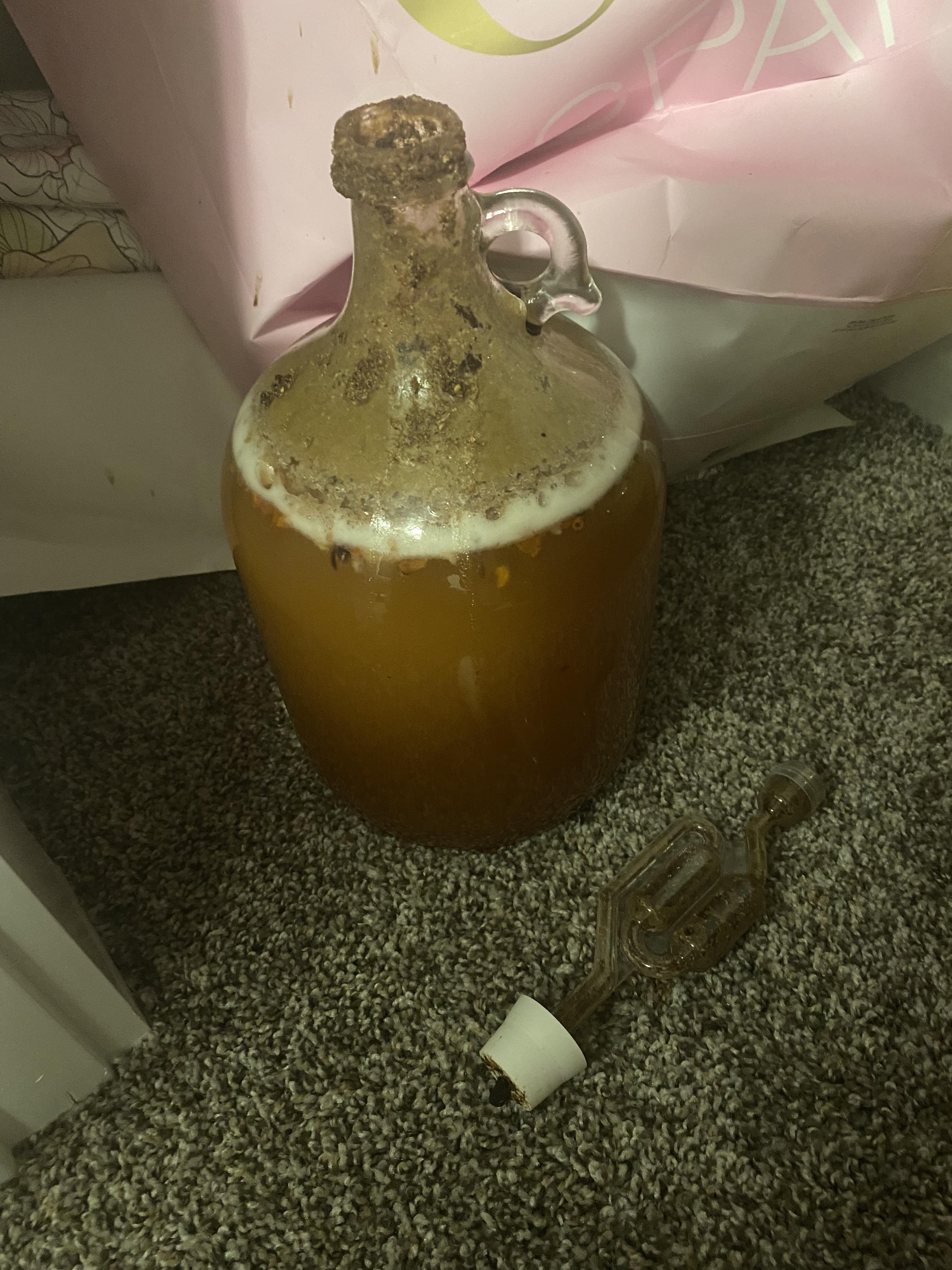 Serious problem. I checked me mead just now after a few days absence on