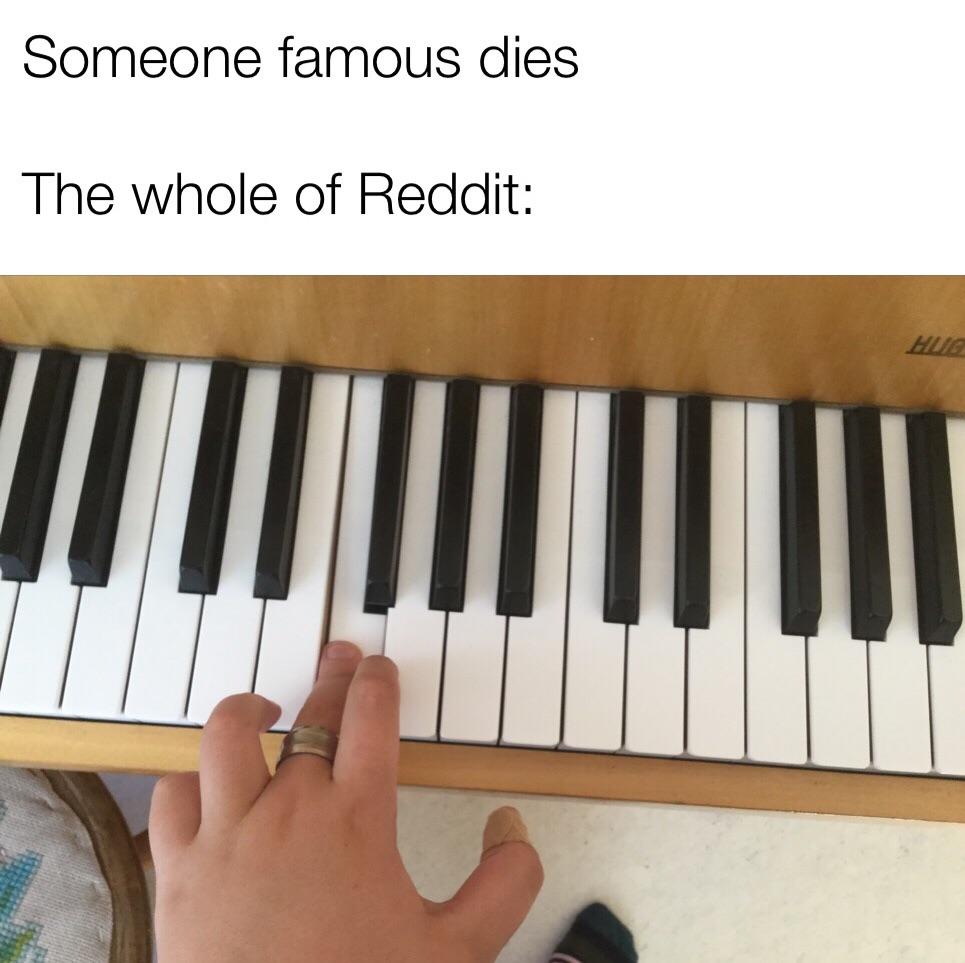 People who know the basics of piano can understand r/meme