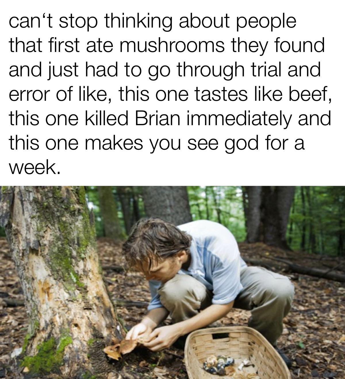 brian was a hero🍄 r/foraging