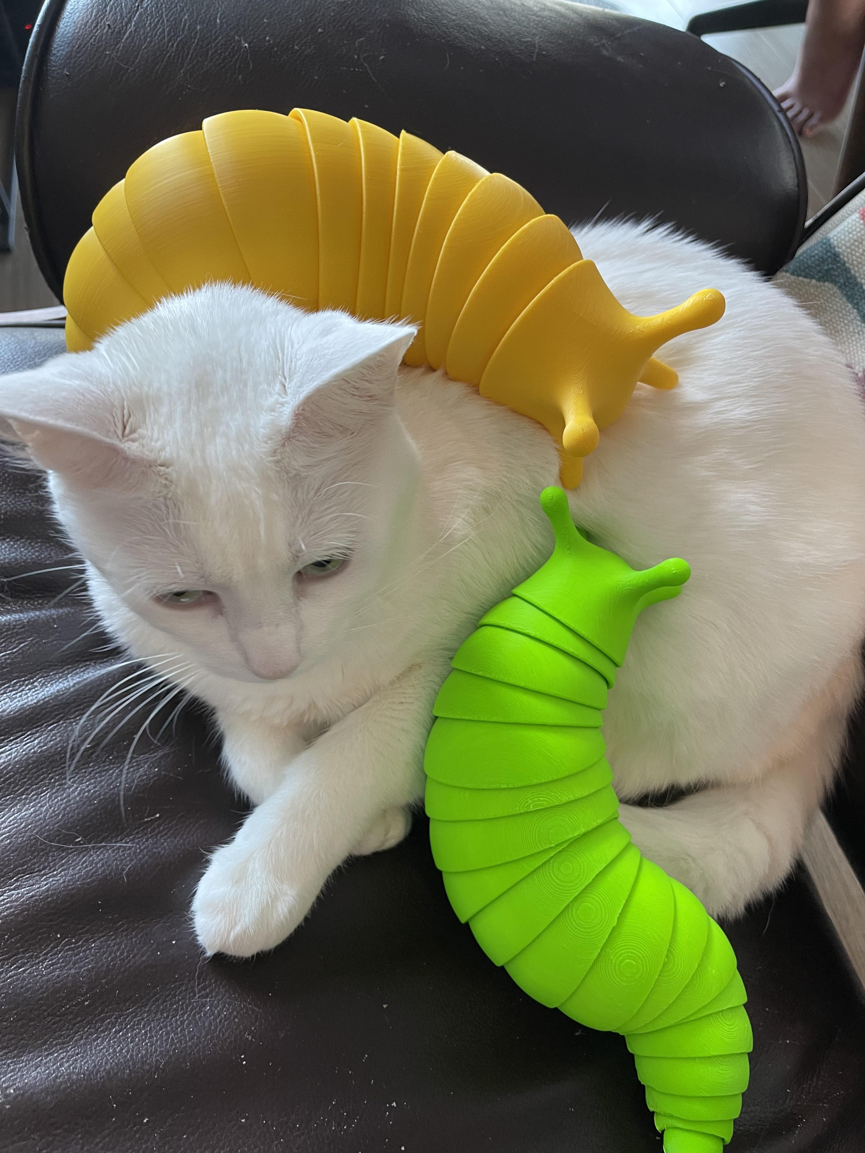 My cat likes my 3x/4x slugs r/3Dprinting