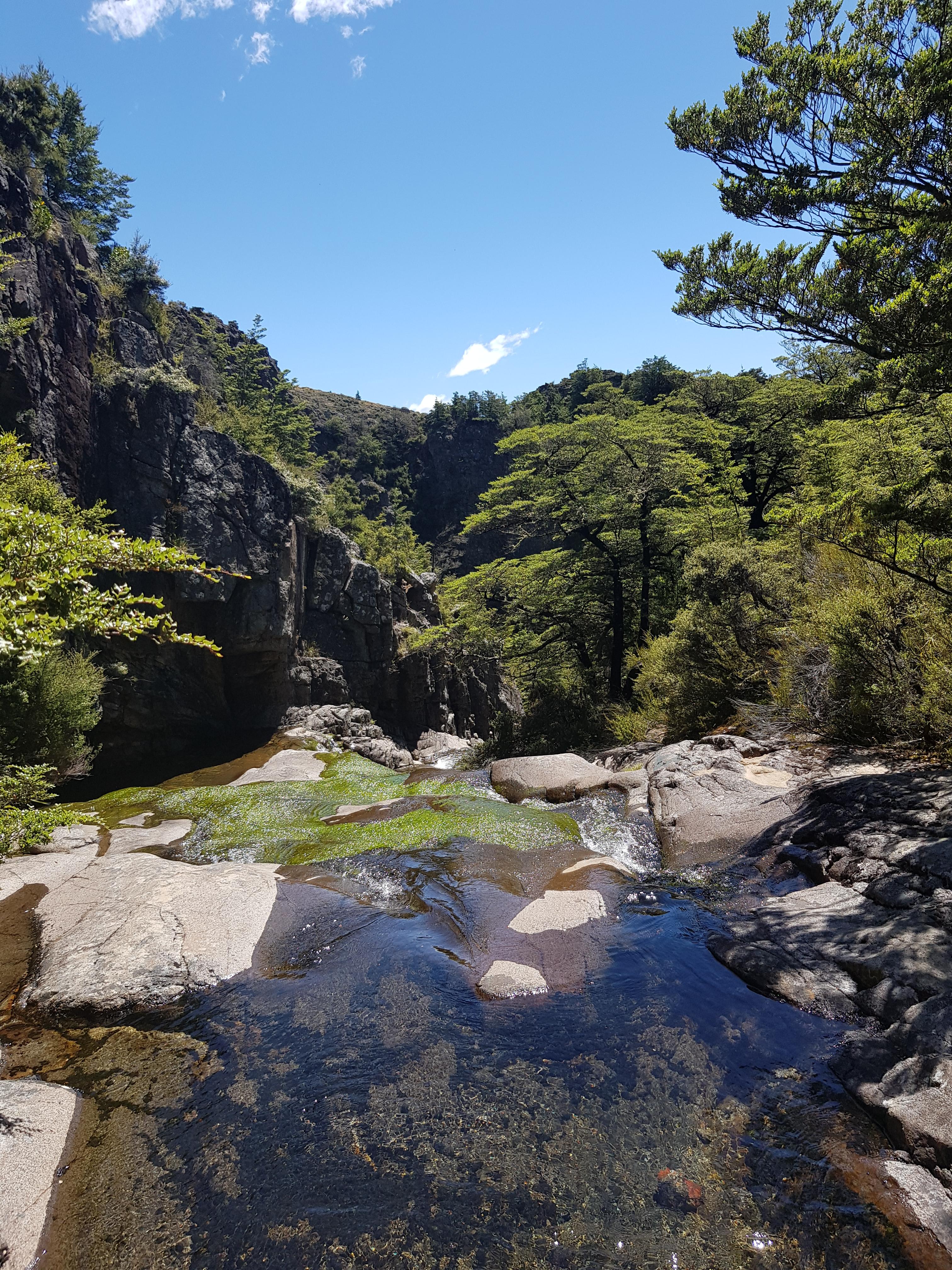 Mt Somers, New Zealand r/hiking