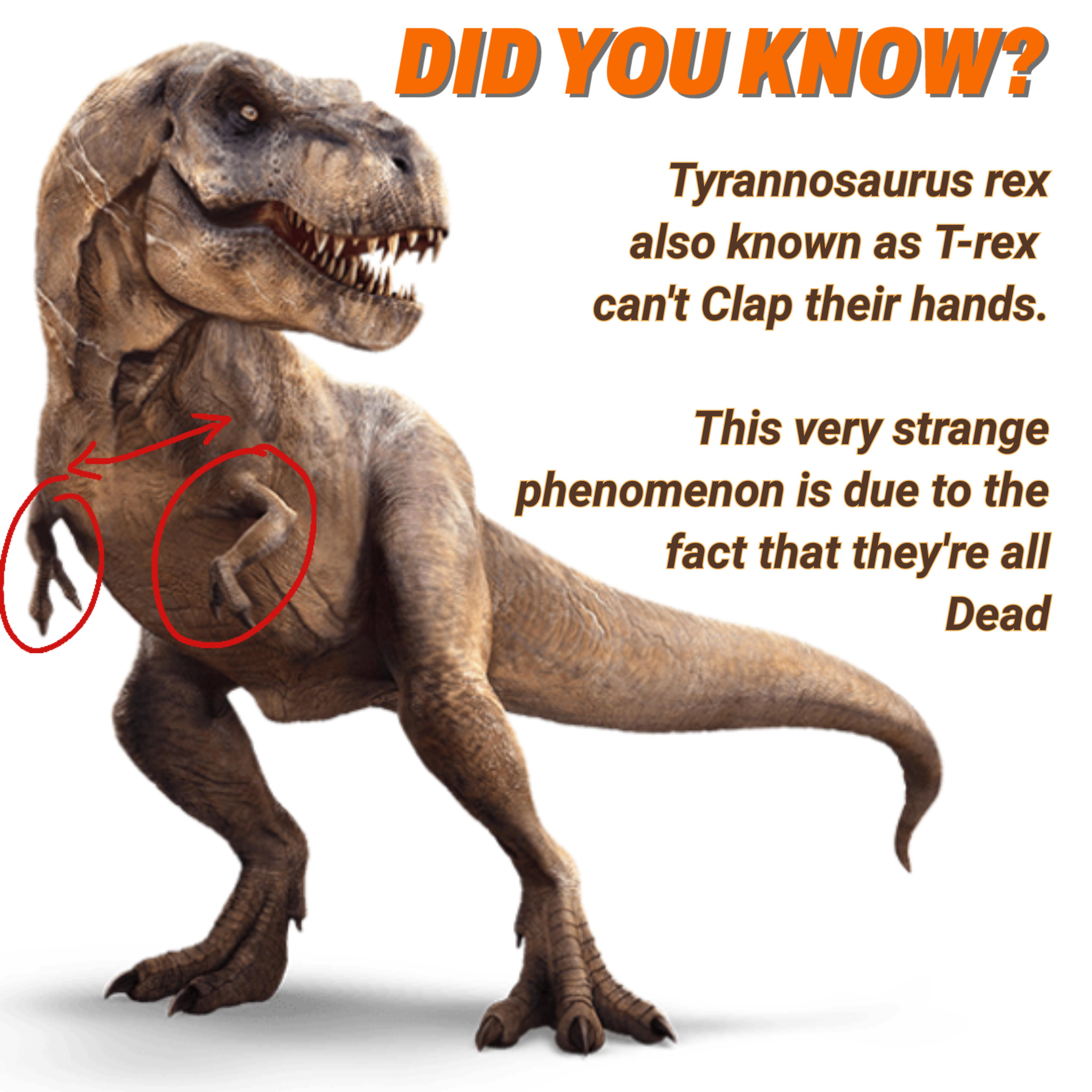 Quick fun fact about Tyrannosaurus rex. notinteresting