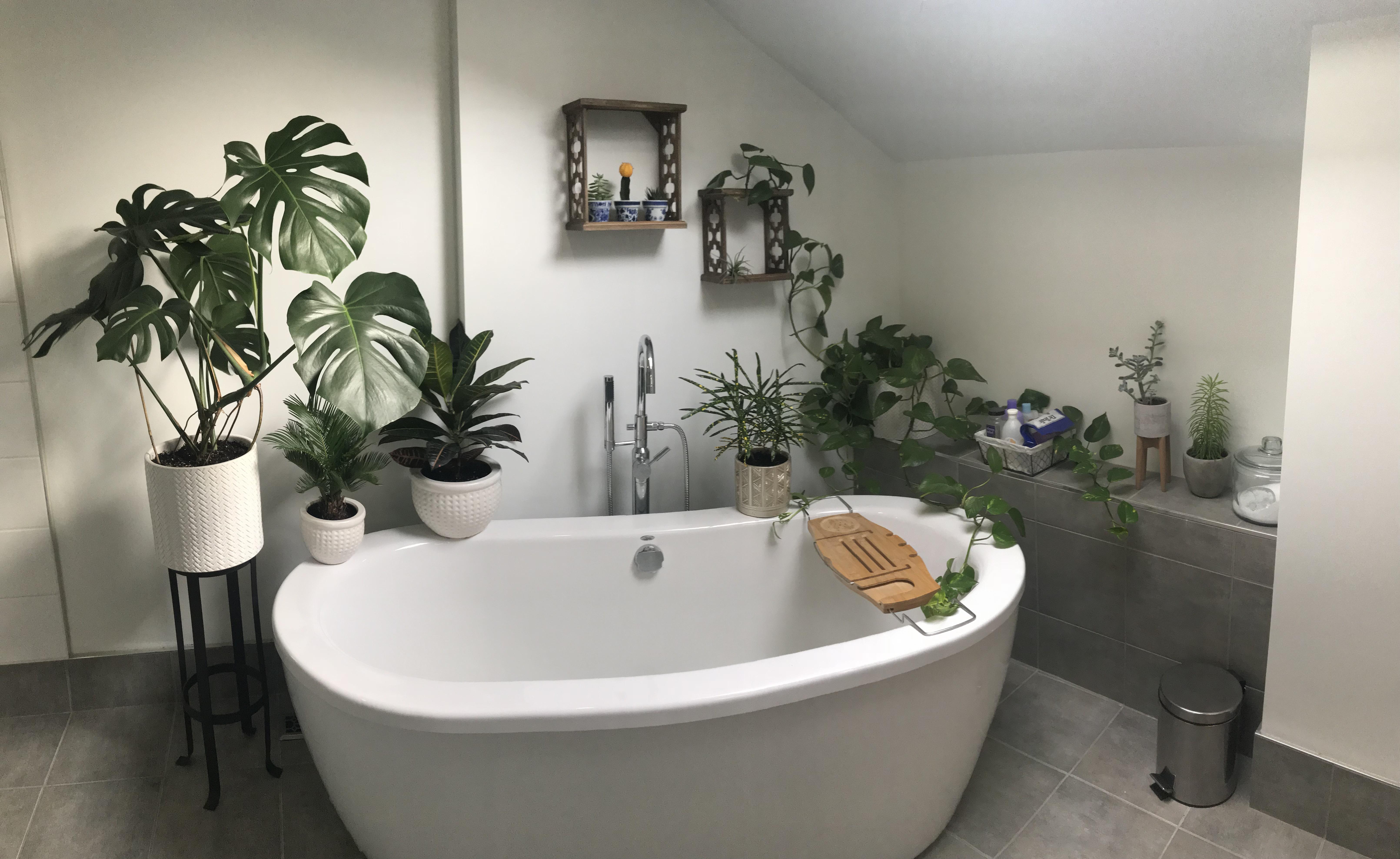 My urban jungle bathroom! Finally starting to look the way I imagine