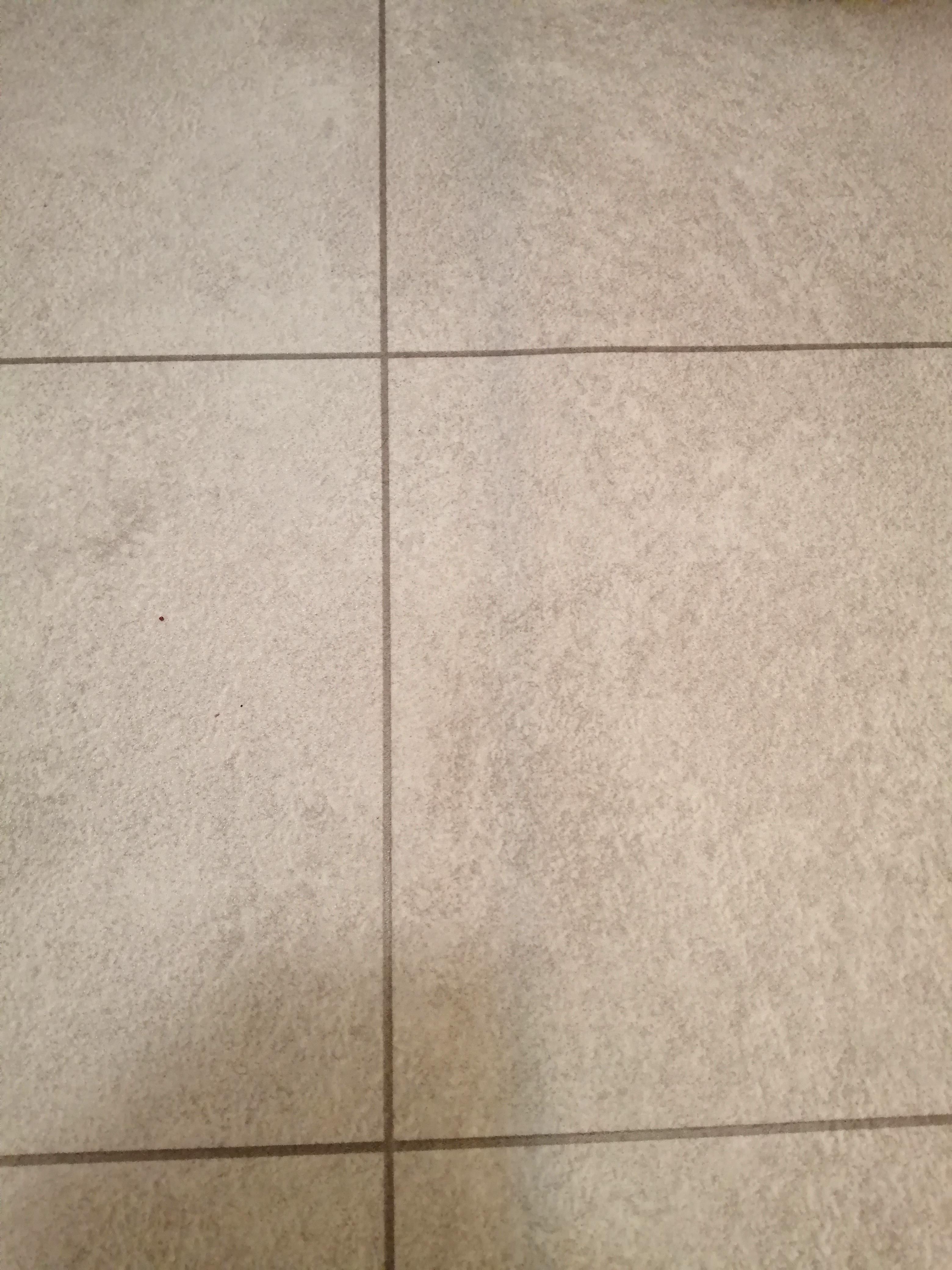 Any tips for getting stains off of lino floor please? r/CleaningTips