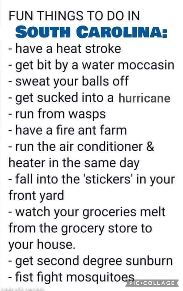 Can someone explain Palmetto Passes? southcarolina