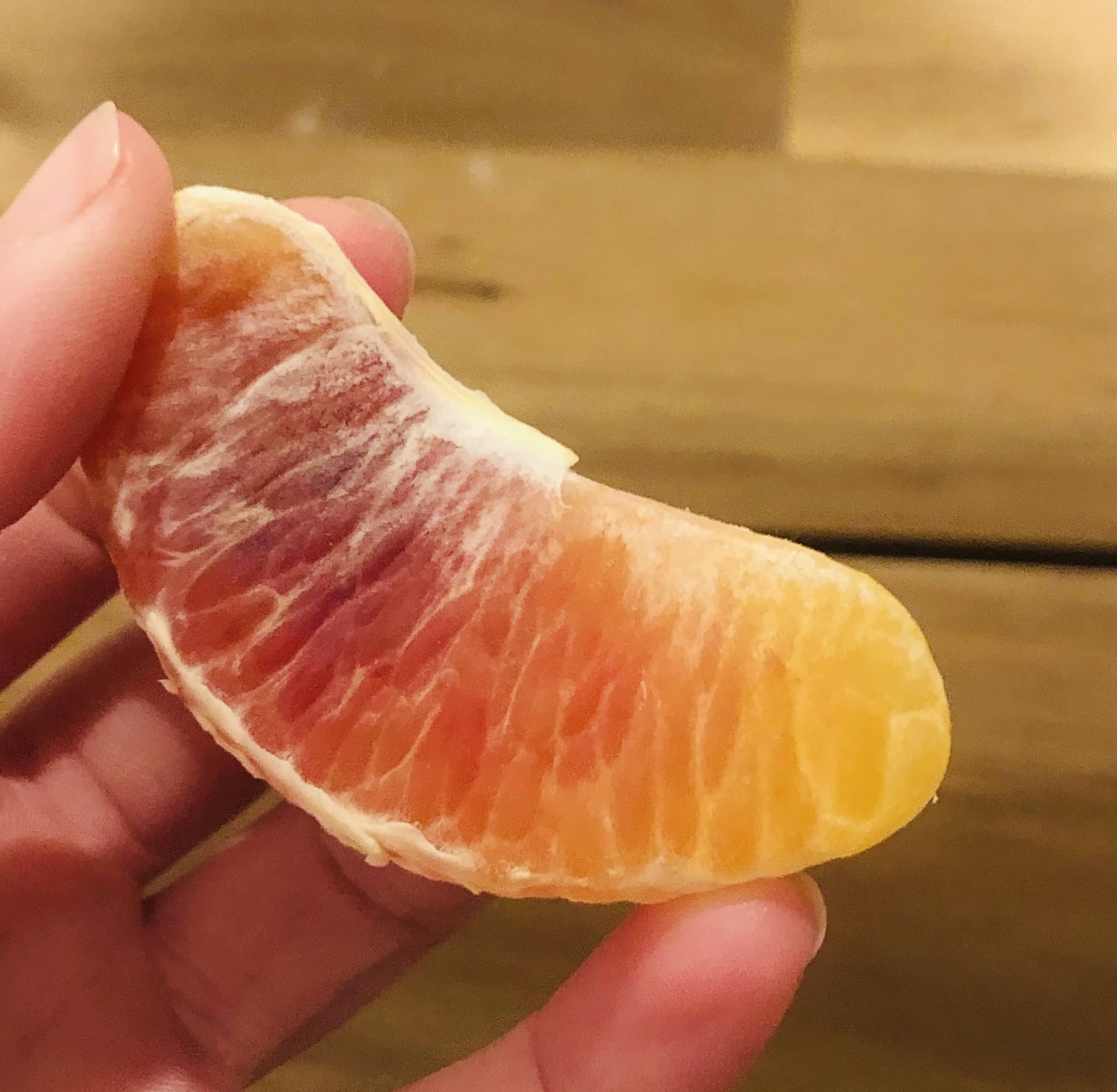 Cross posted / not mine Blood orange slice with a color gradient from