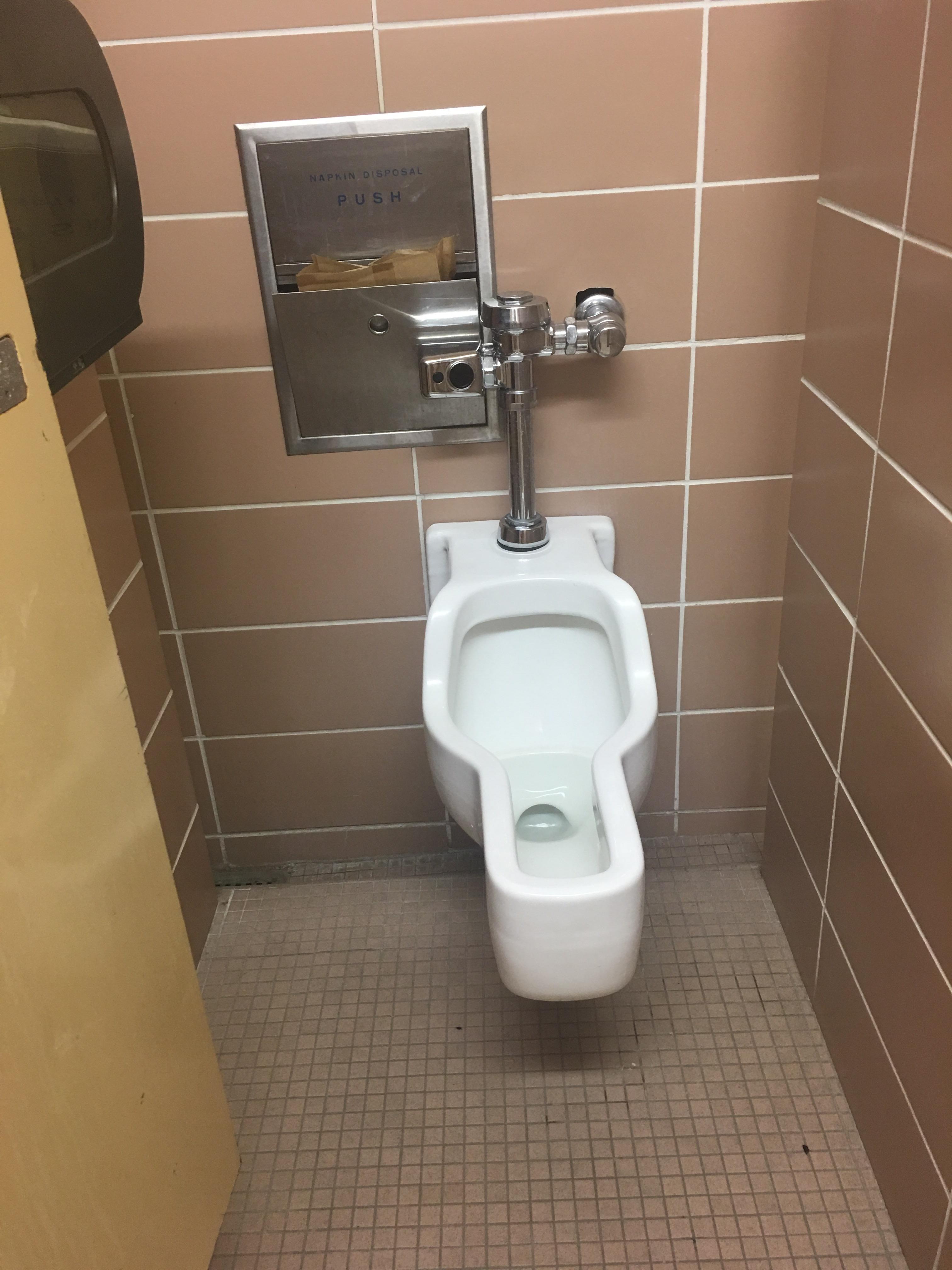 What is this...toilet? It’s in a stall along side two standard toilets