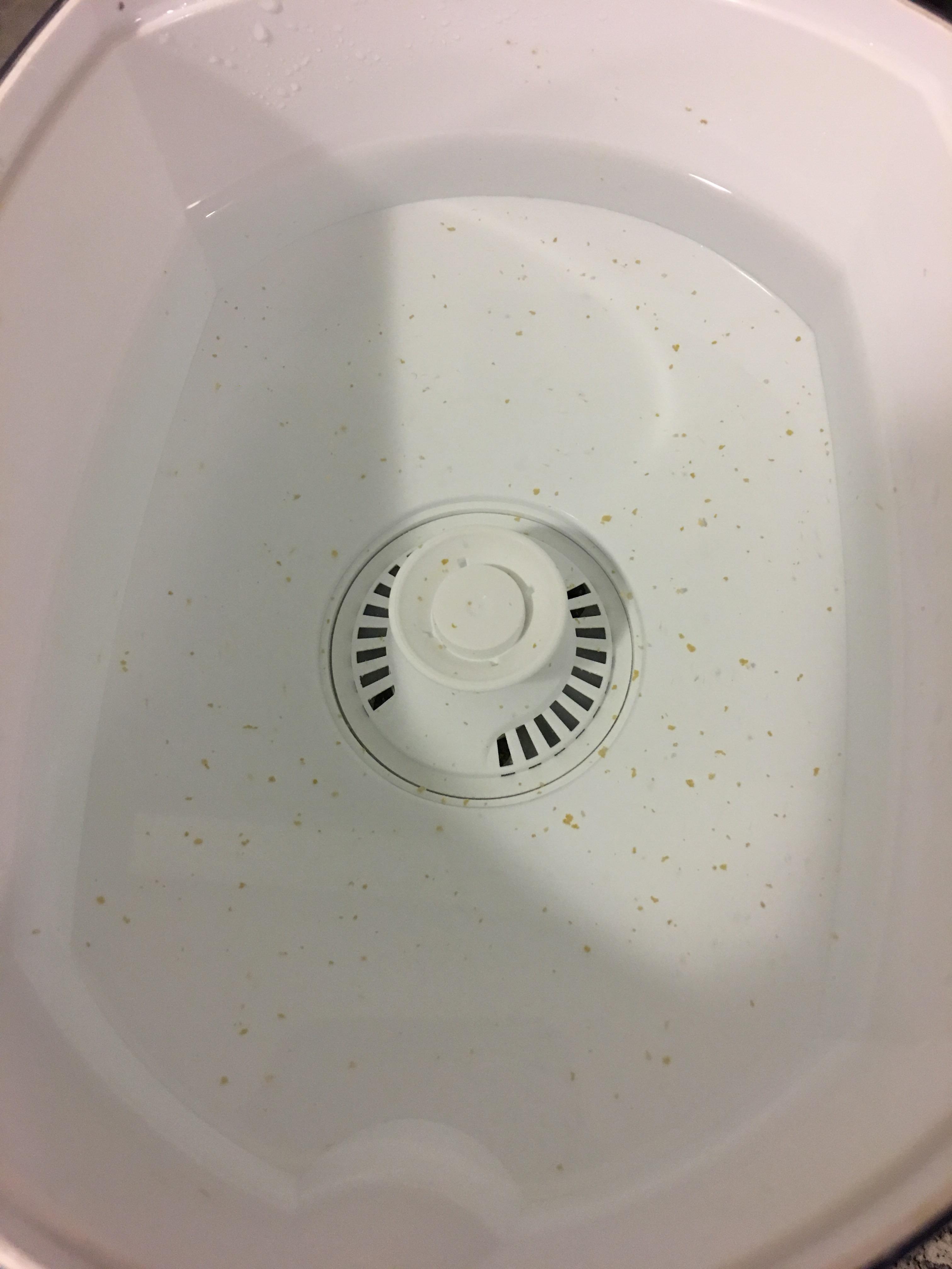 Yellow flakes appearing above water filter Water News