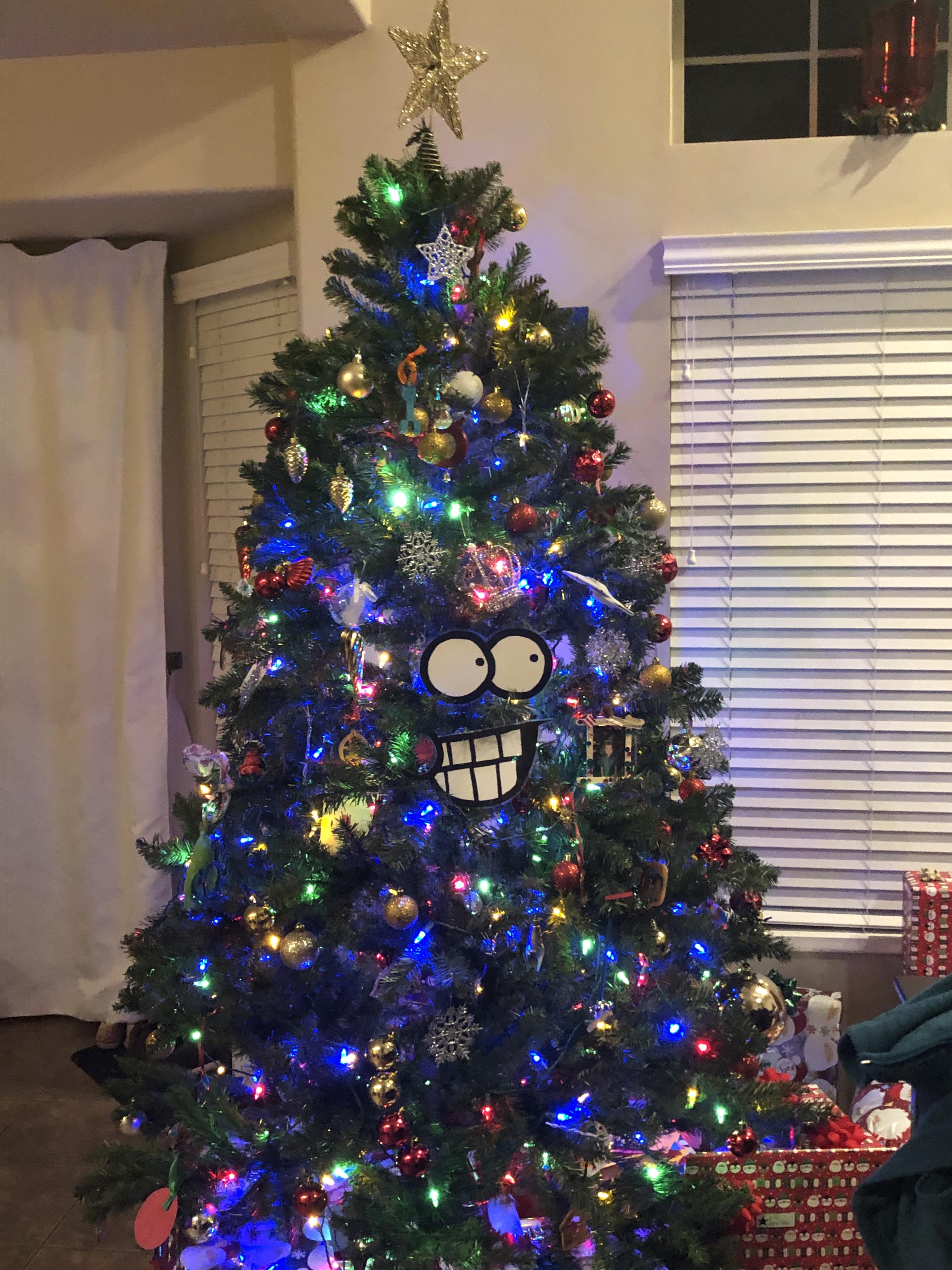 “Do you like my decorations?” r/funny