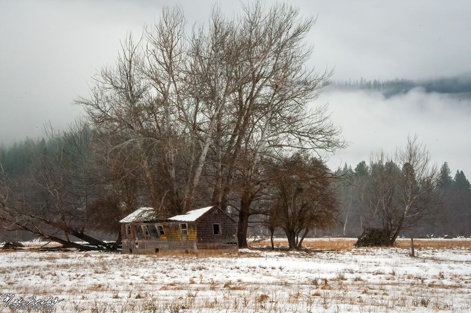 Old farmhouse in Quartz Valley, CA r/reclaimedbynature