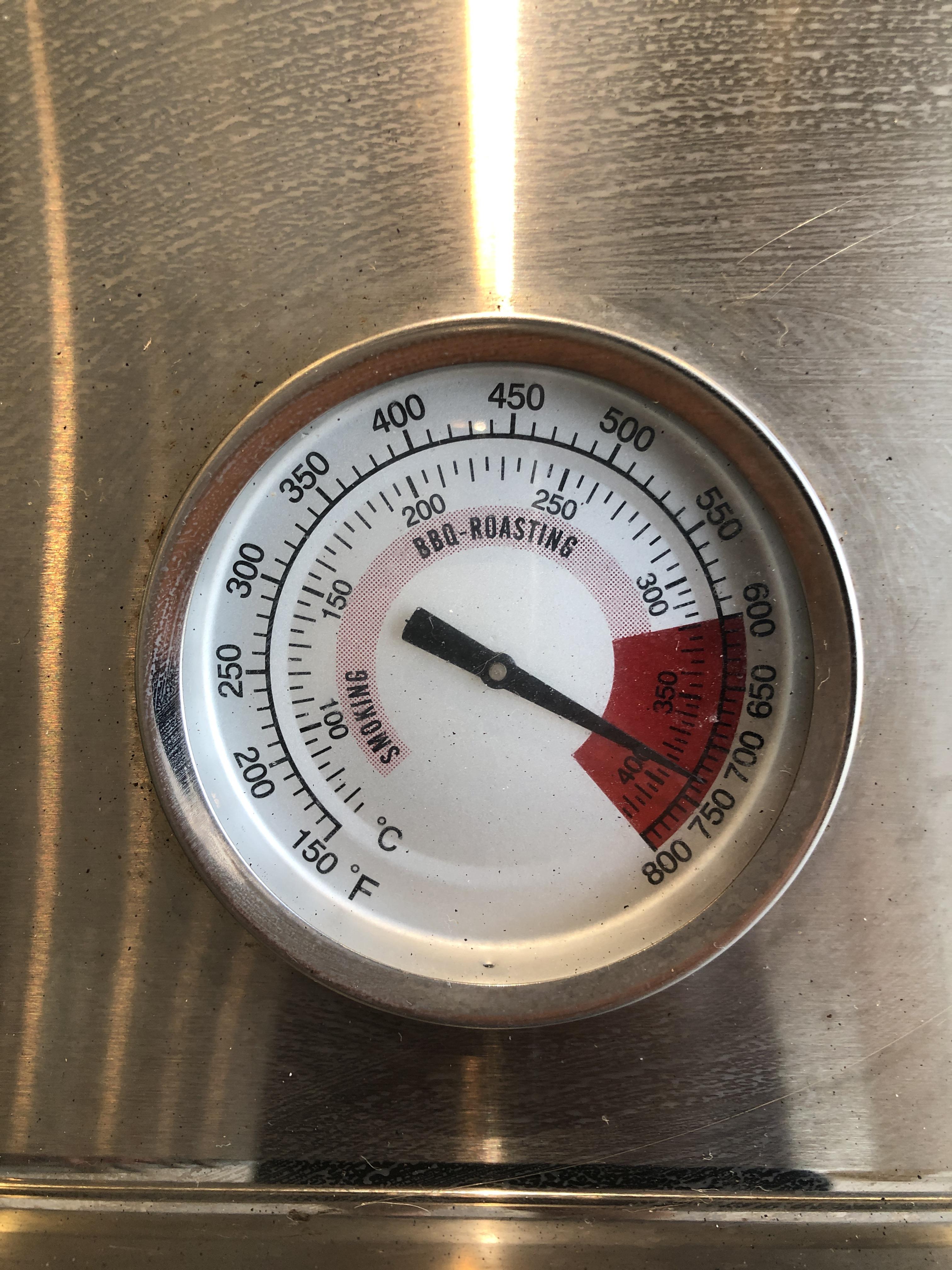 How hot is too hot? r/grilling