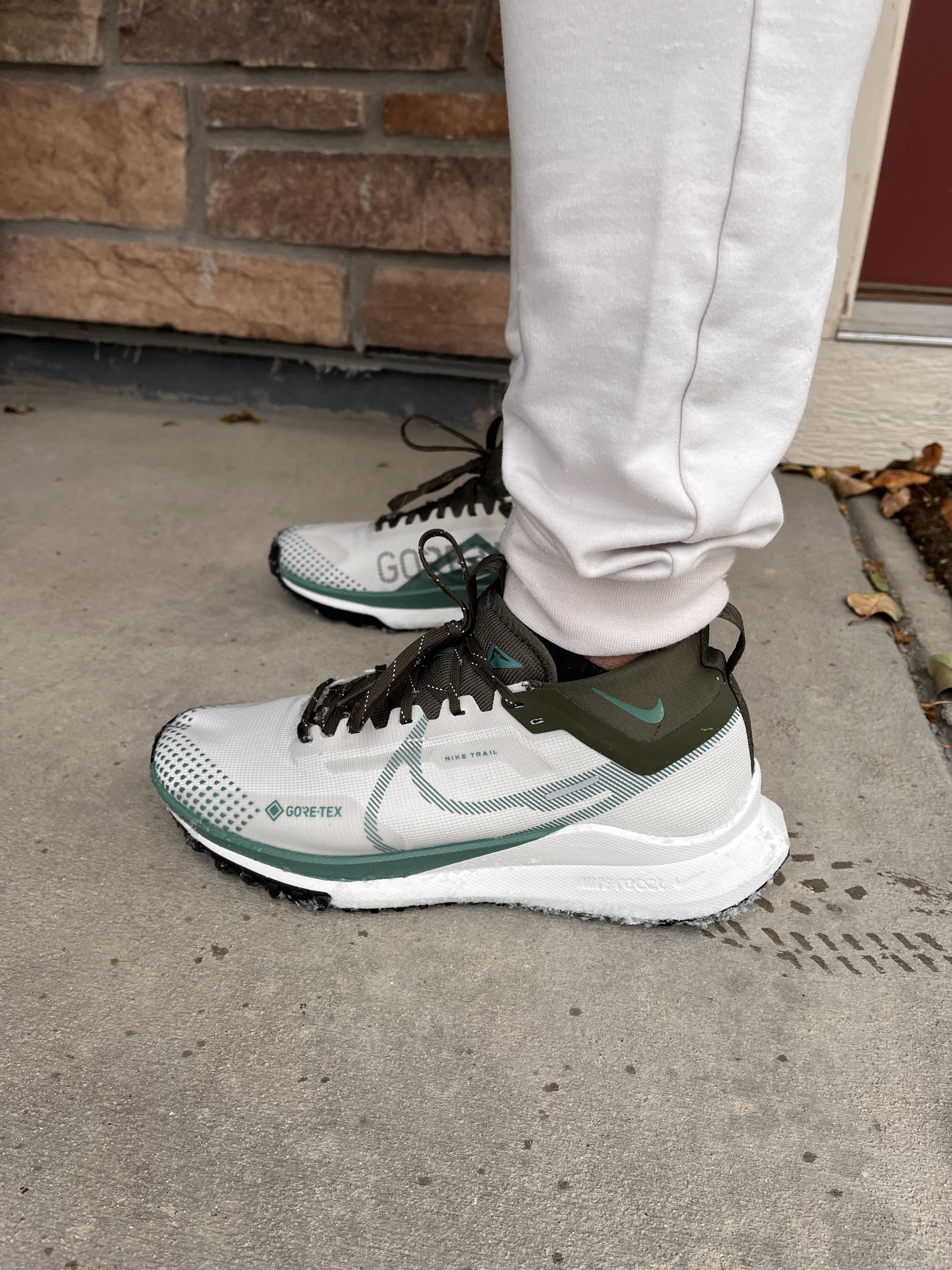 Nike Pegasus Trail 4 Goretex r/RunningShoeGeeks