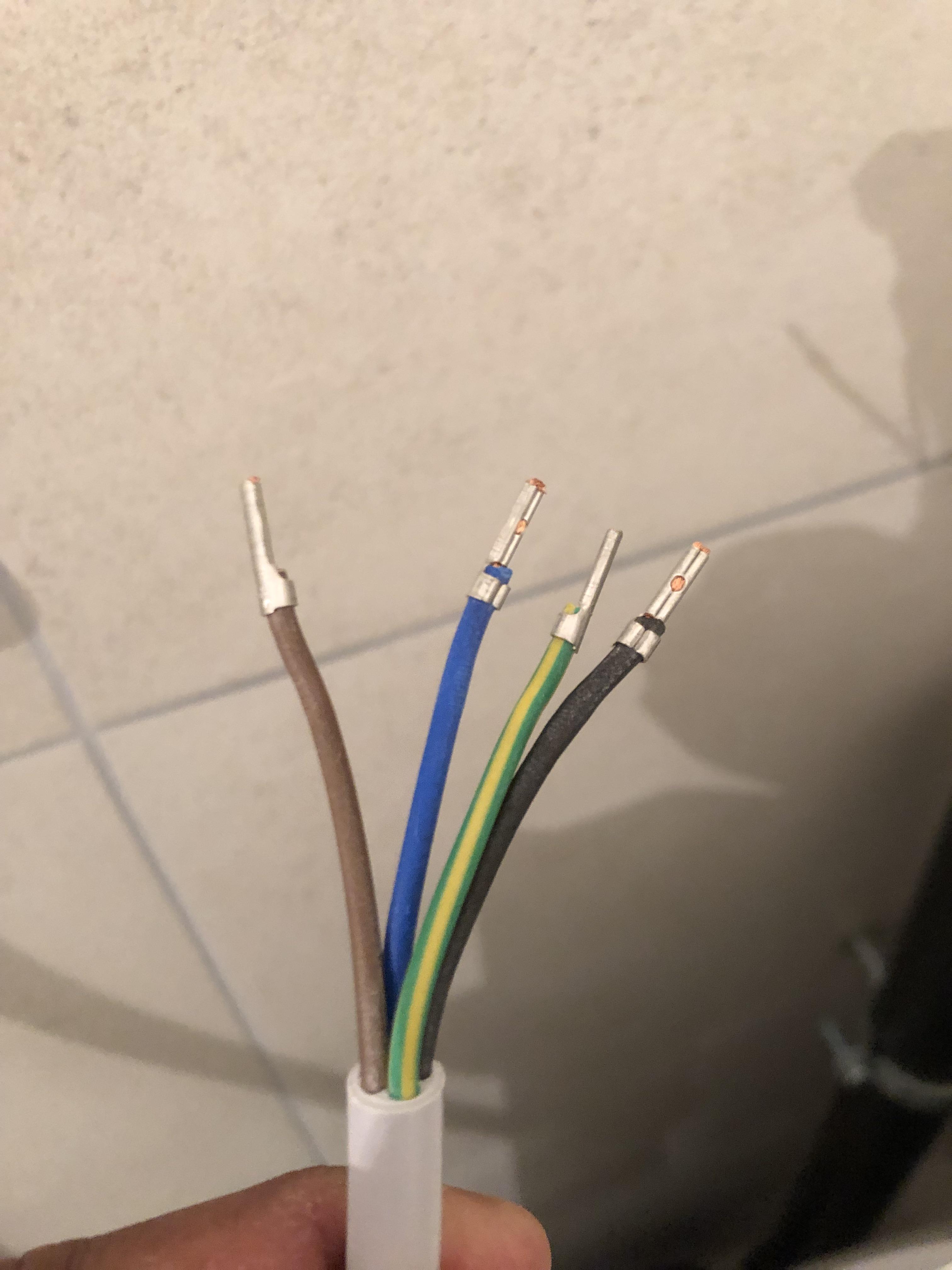 Does anyone know how to wire these 4 cables into a T25 plug for a washing machine? r/Switzerland