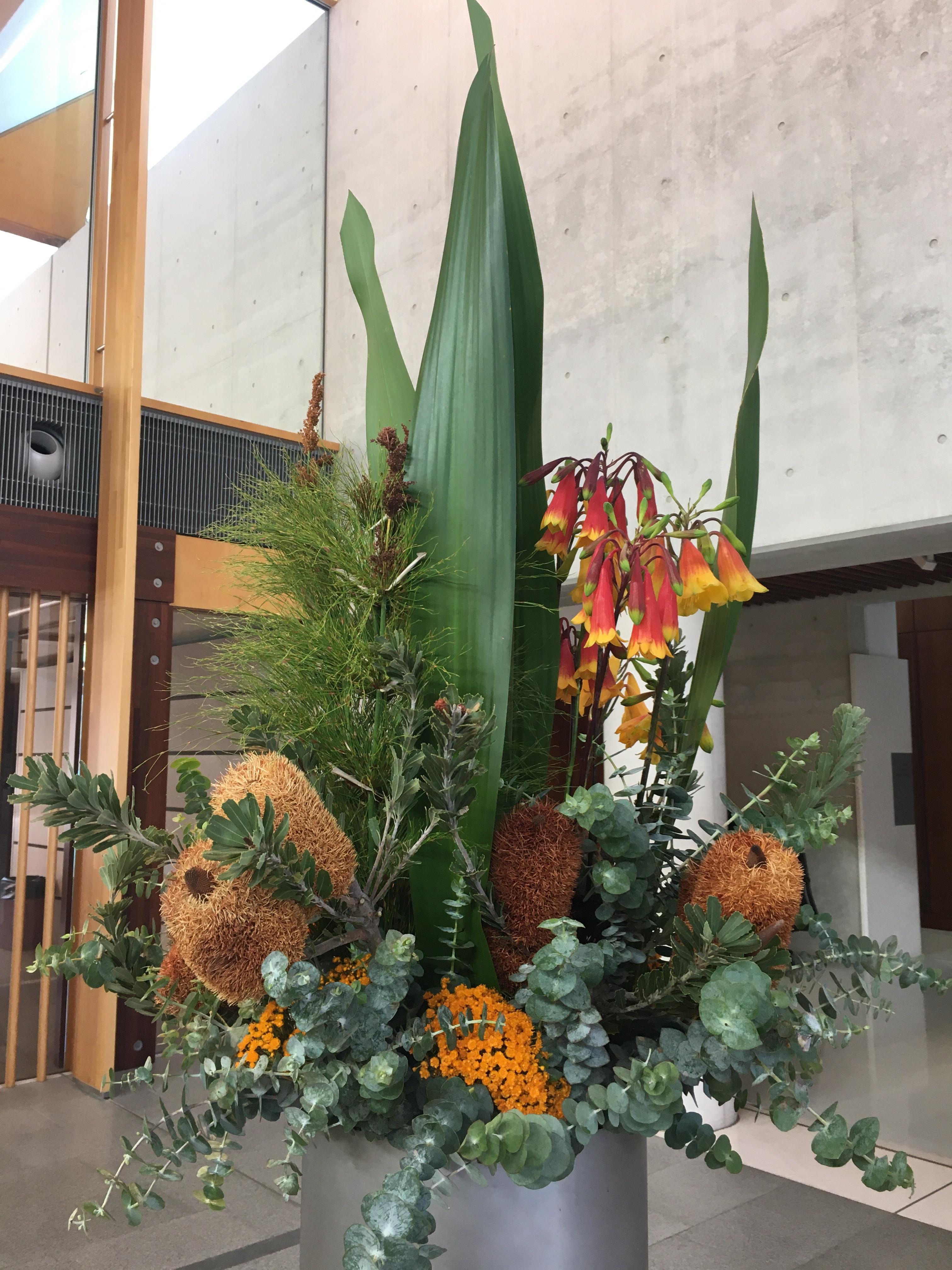 This week’s Flowers in the Foyer of the National Portrait Gallery