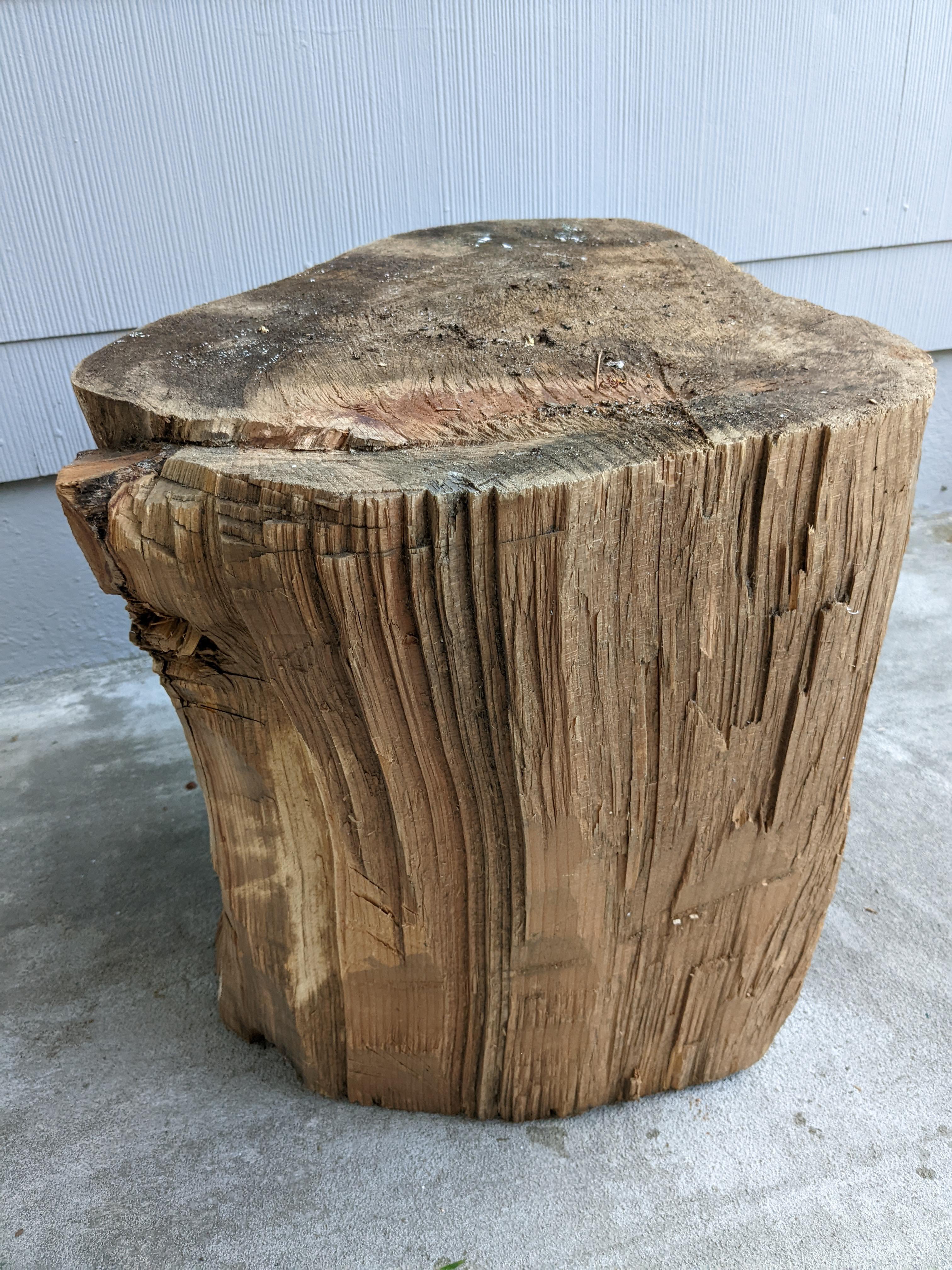 How do I finish this dried stump/ side table? r/woodworking