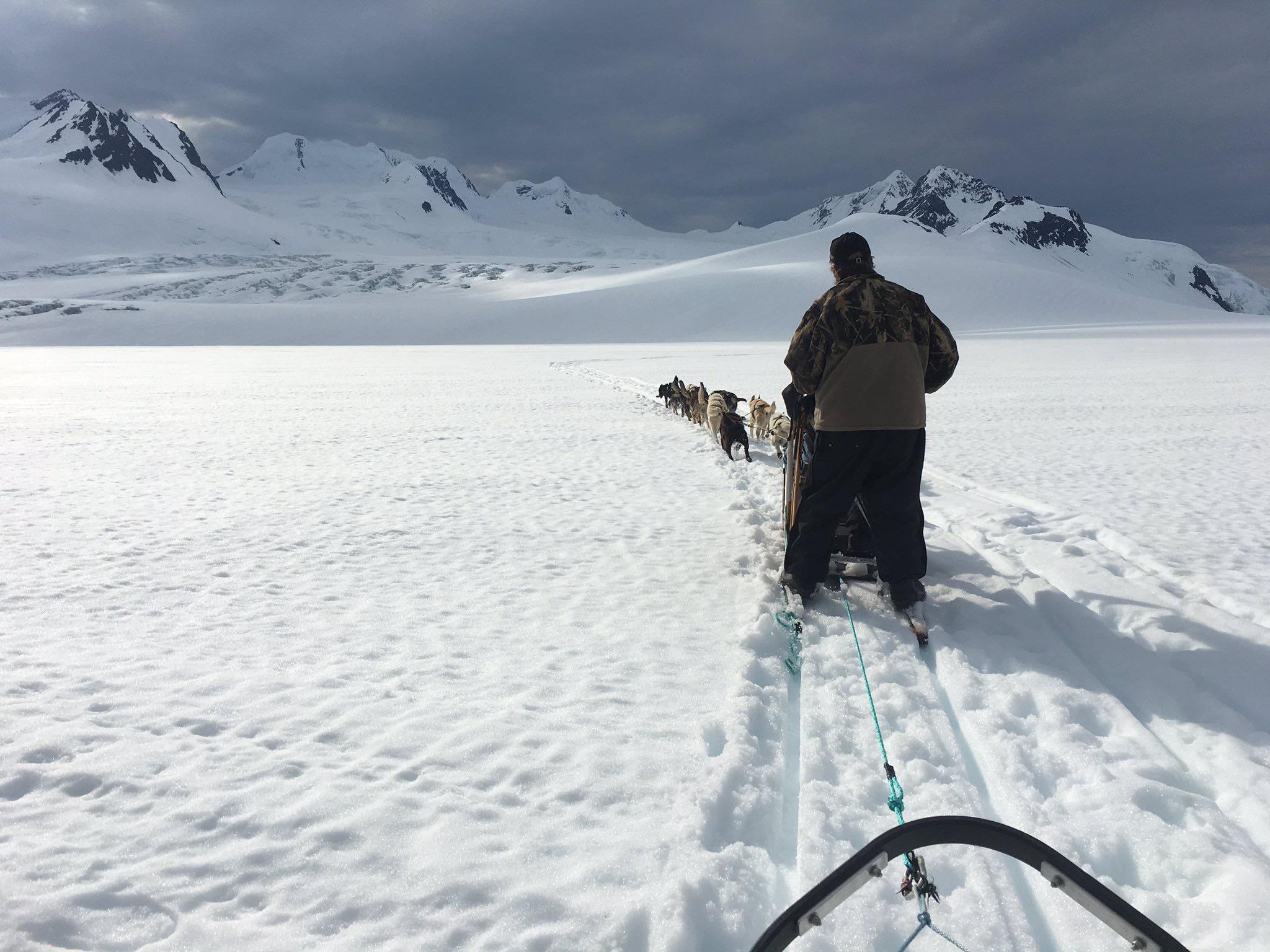 Dog sledding on Knik Glacier in Alaska 2017 r/roadtrip