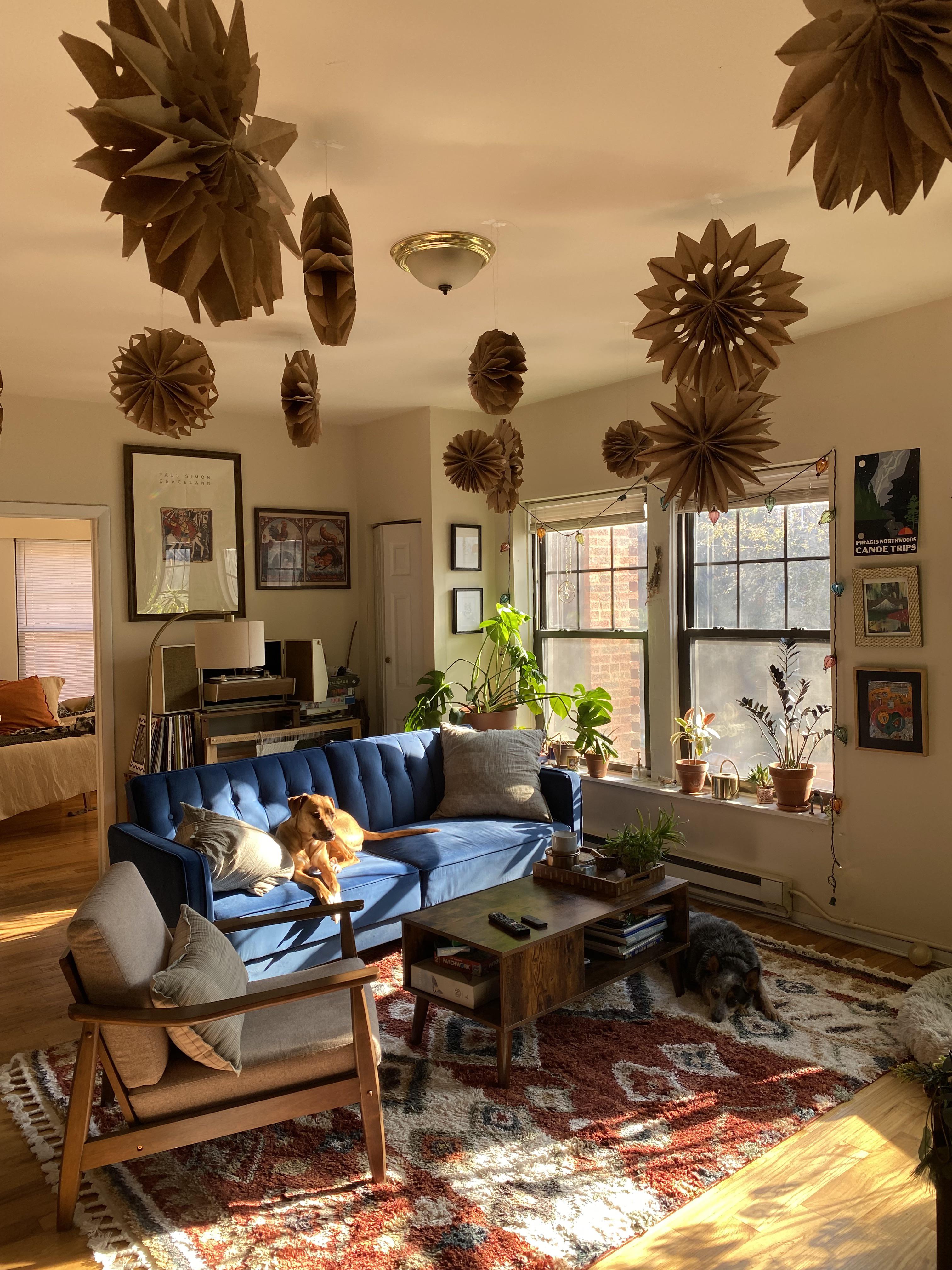 Our cozy Chicago apartment r/CozyPlaces