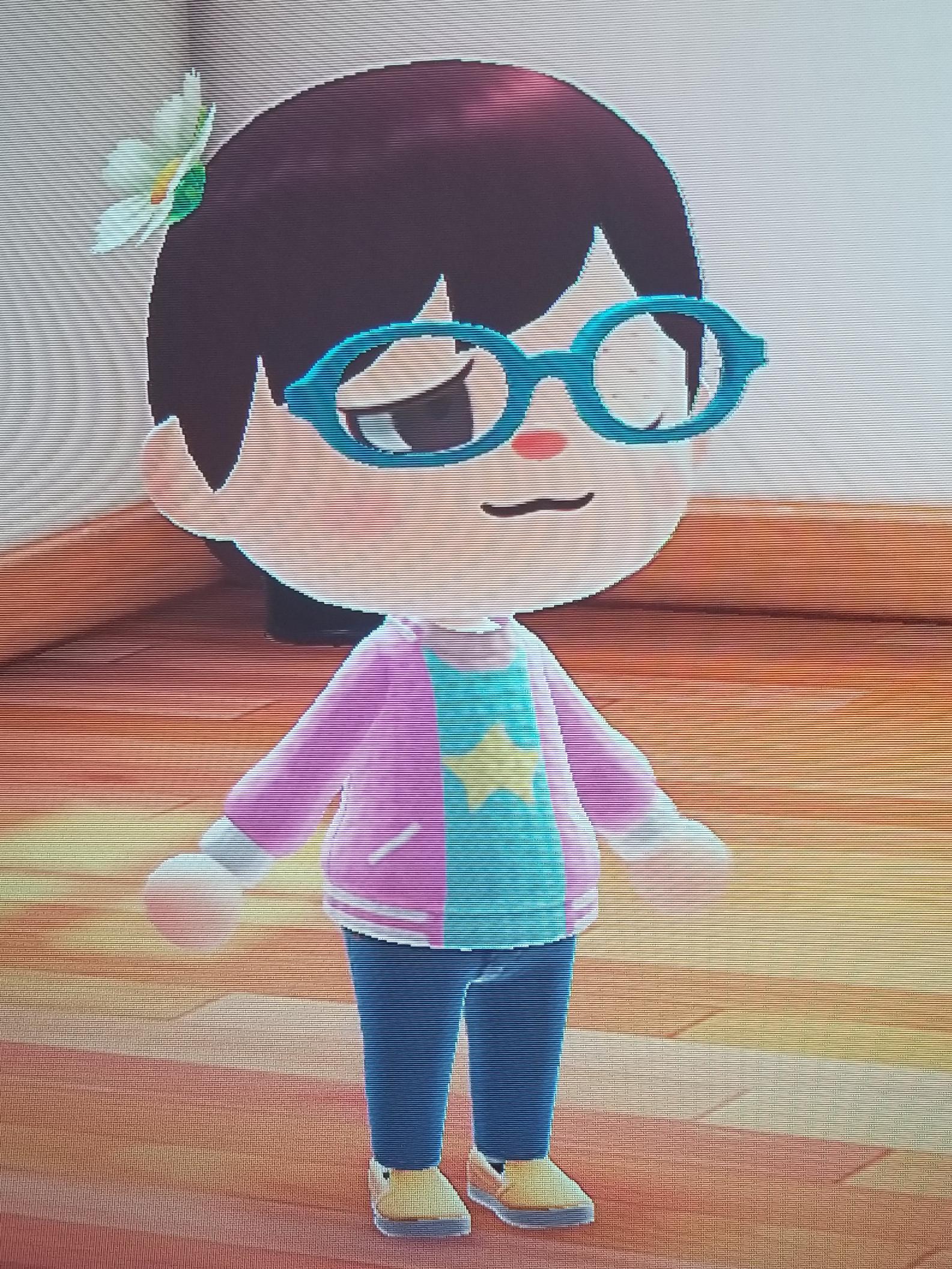 Very happy with my first Animal crossing new horizons pro design of