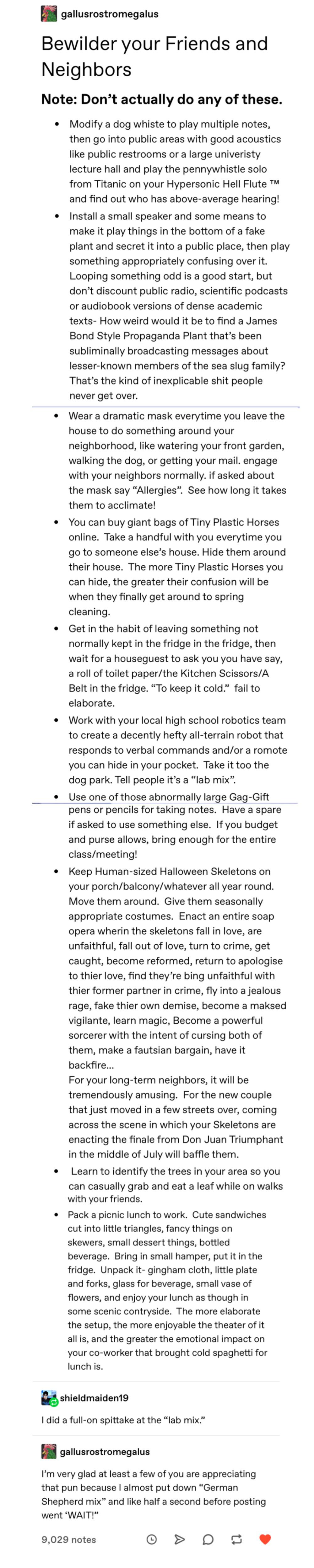 Fun, non harmful prank time r/tumblr