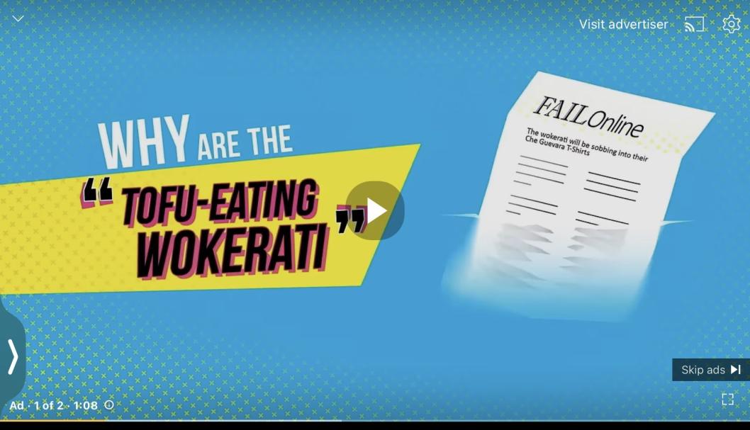 "TofuEating Wokerati" r/BrandNewSentence