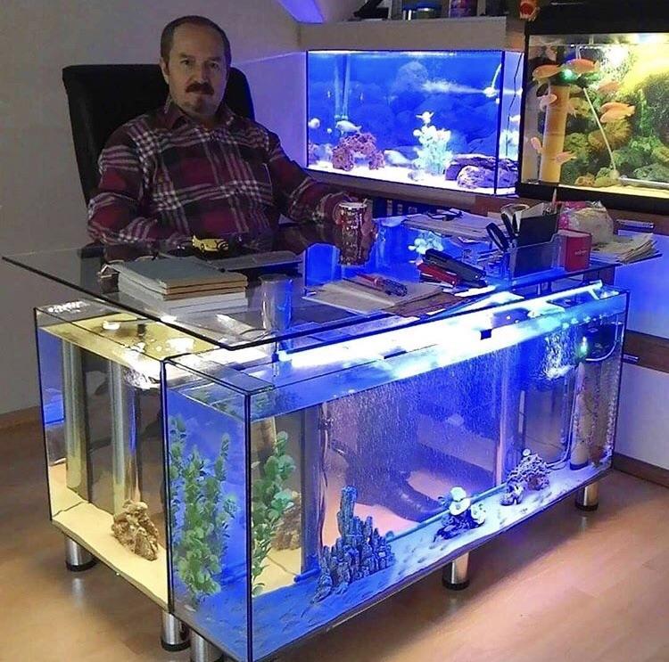 When you want to display the fruits of your labour in the fishing