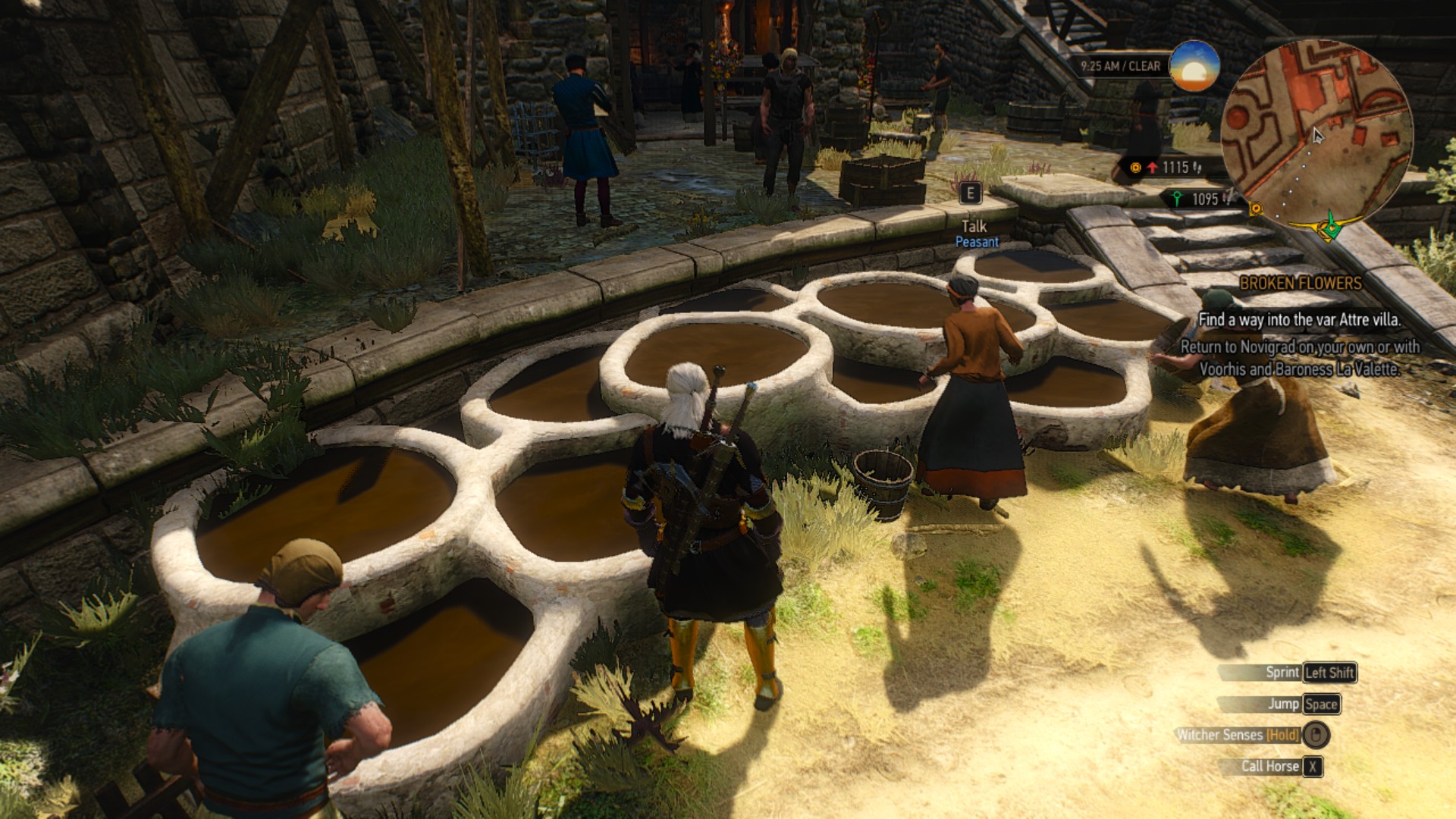 Anyone knows what these brown pools are? r/Witcher3