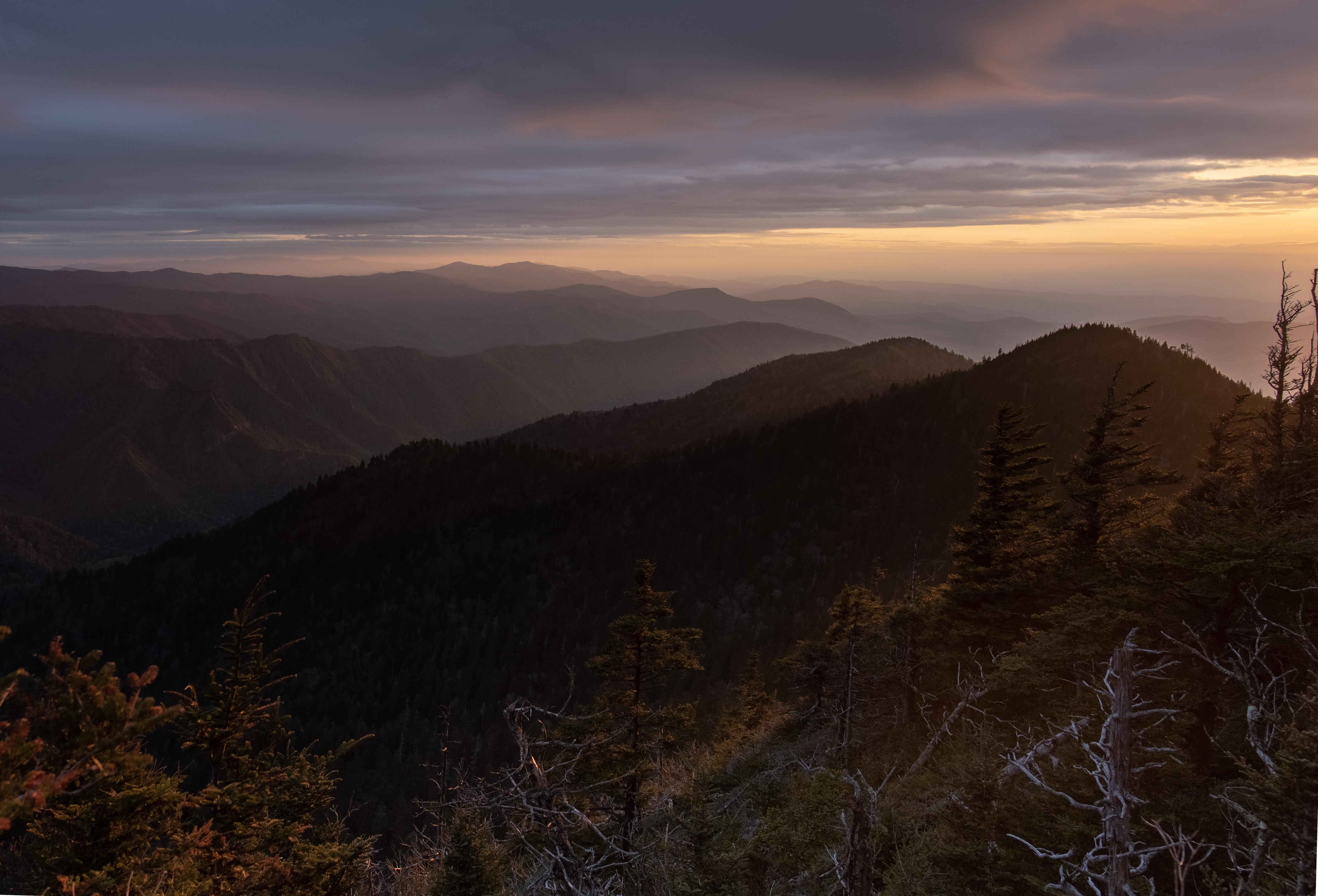 Cliff Tops on Mt. LeConte, Great Smoky Mountain National Park r/hiking