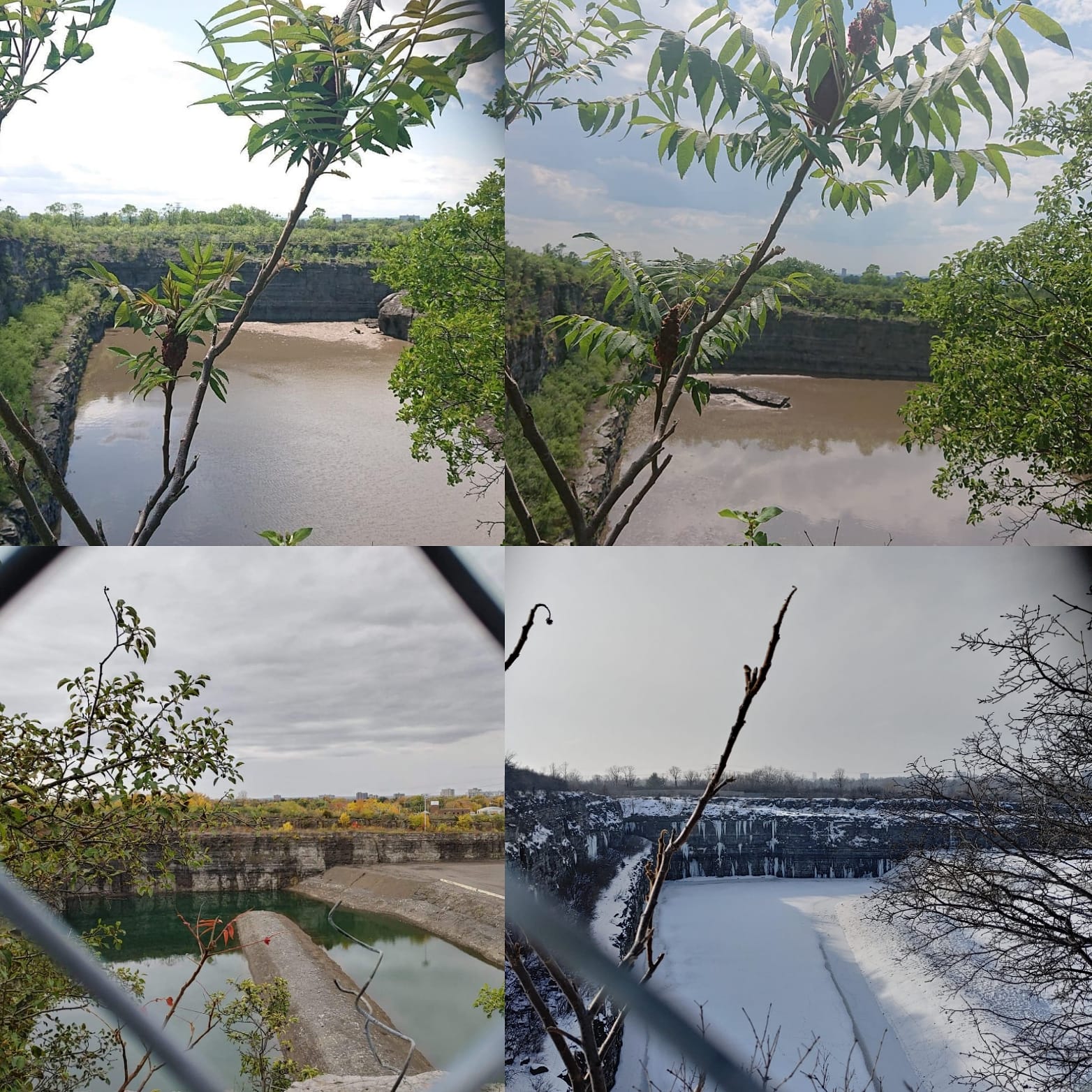 Carlington park in four seasons r/ottawa