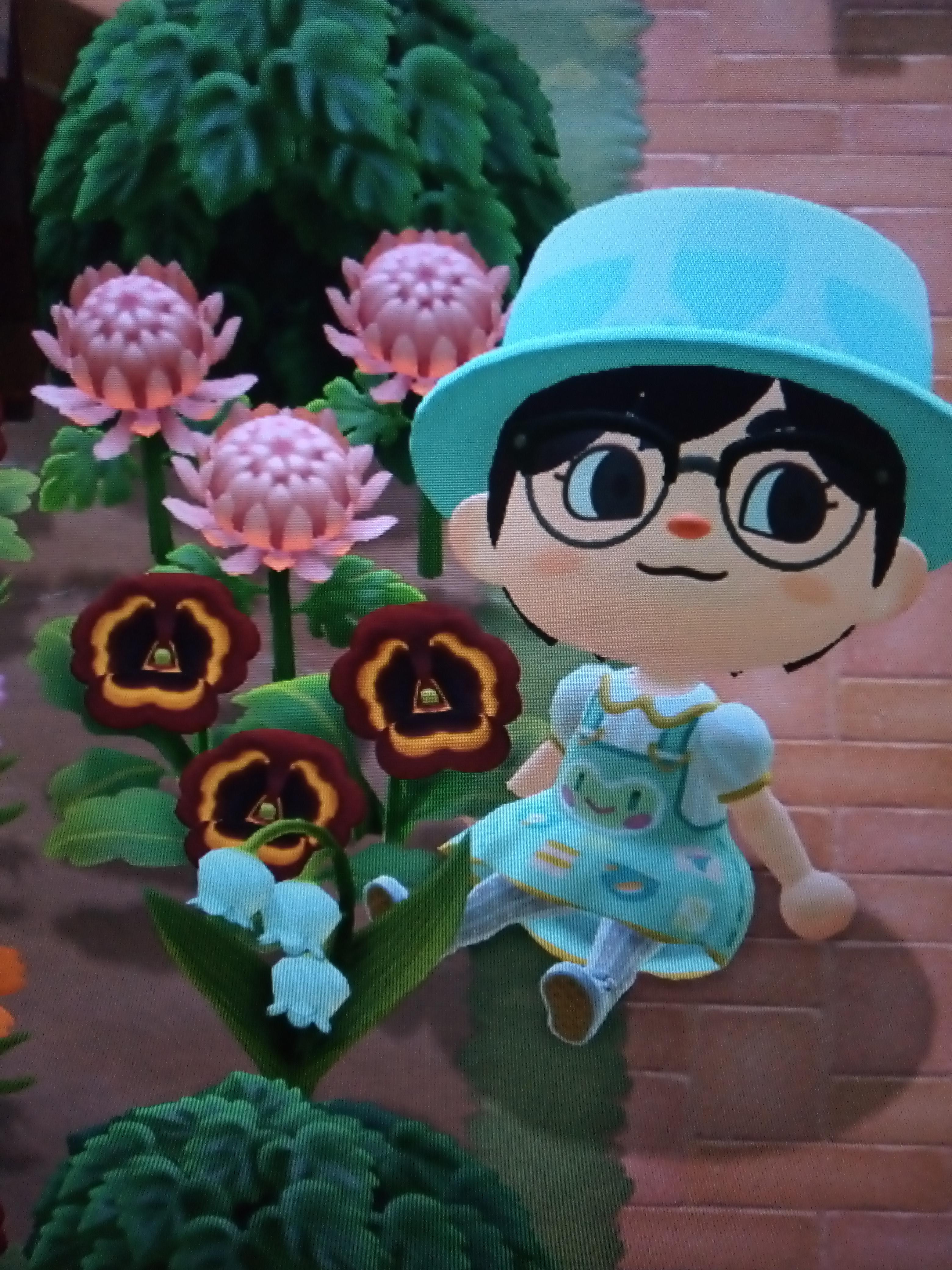 Do Jacob's ladders still help with breeding hybrids? r/acnh