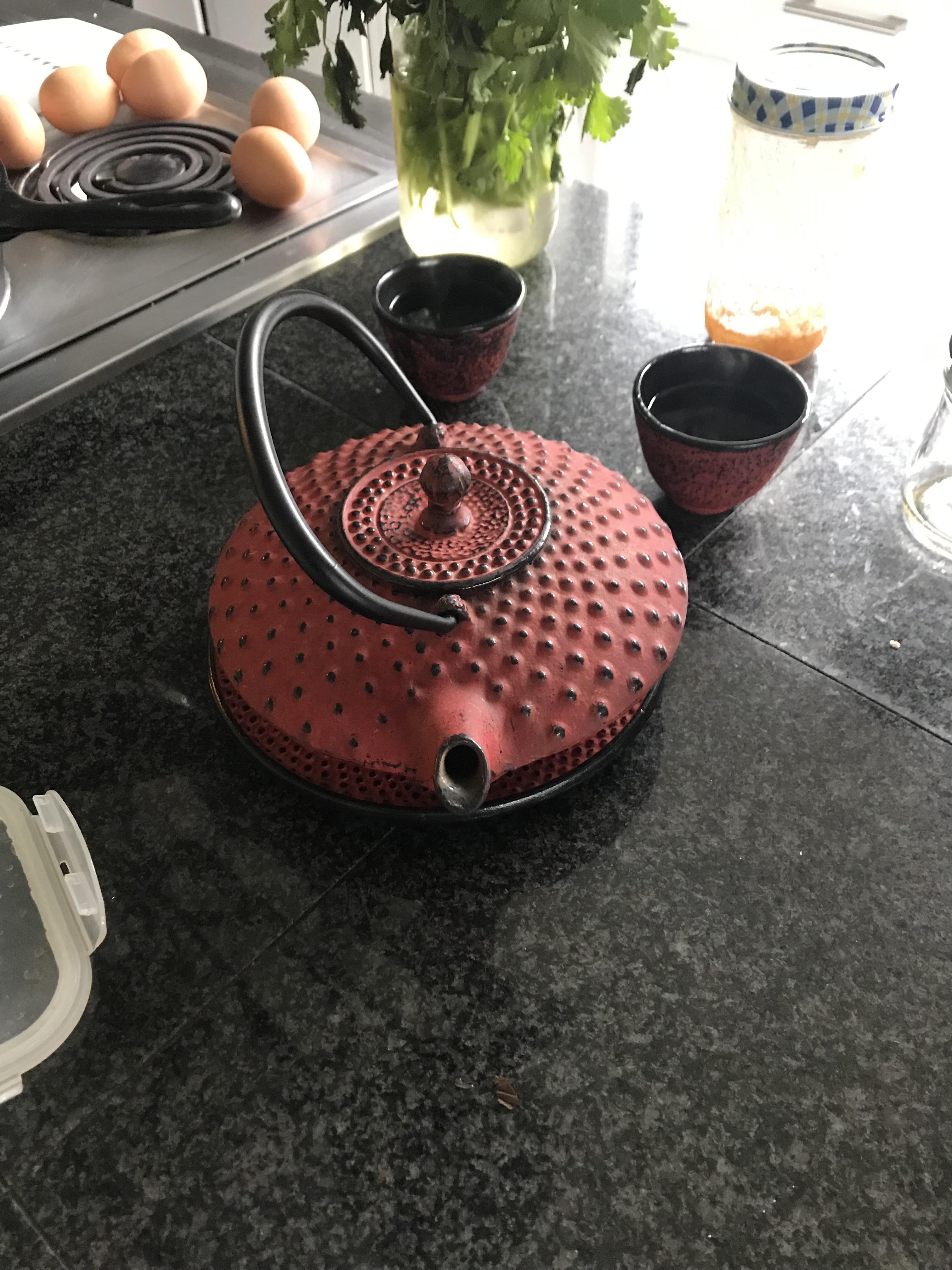 Japanese red cast iron teapot r/tea