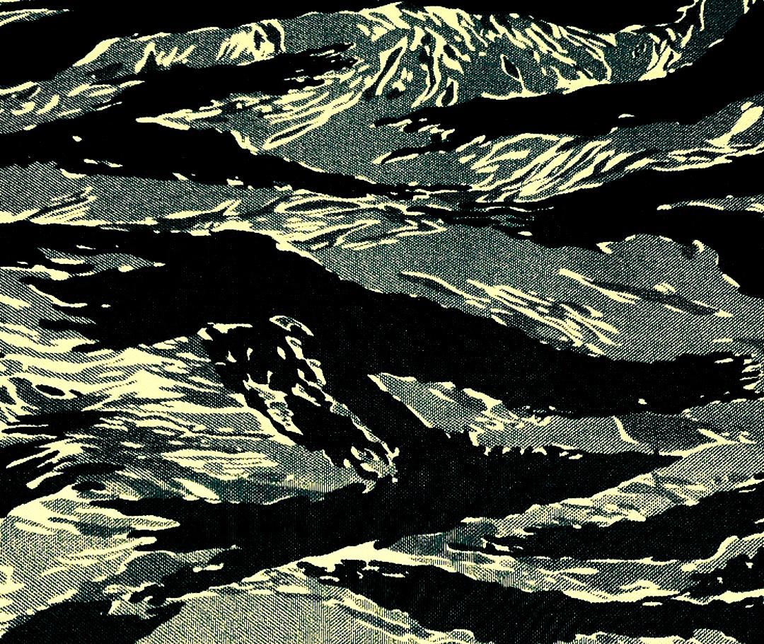 Light urban tiger stripe r/camouflage