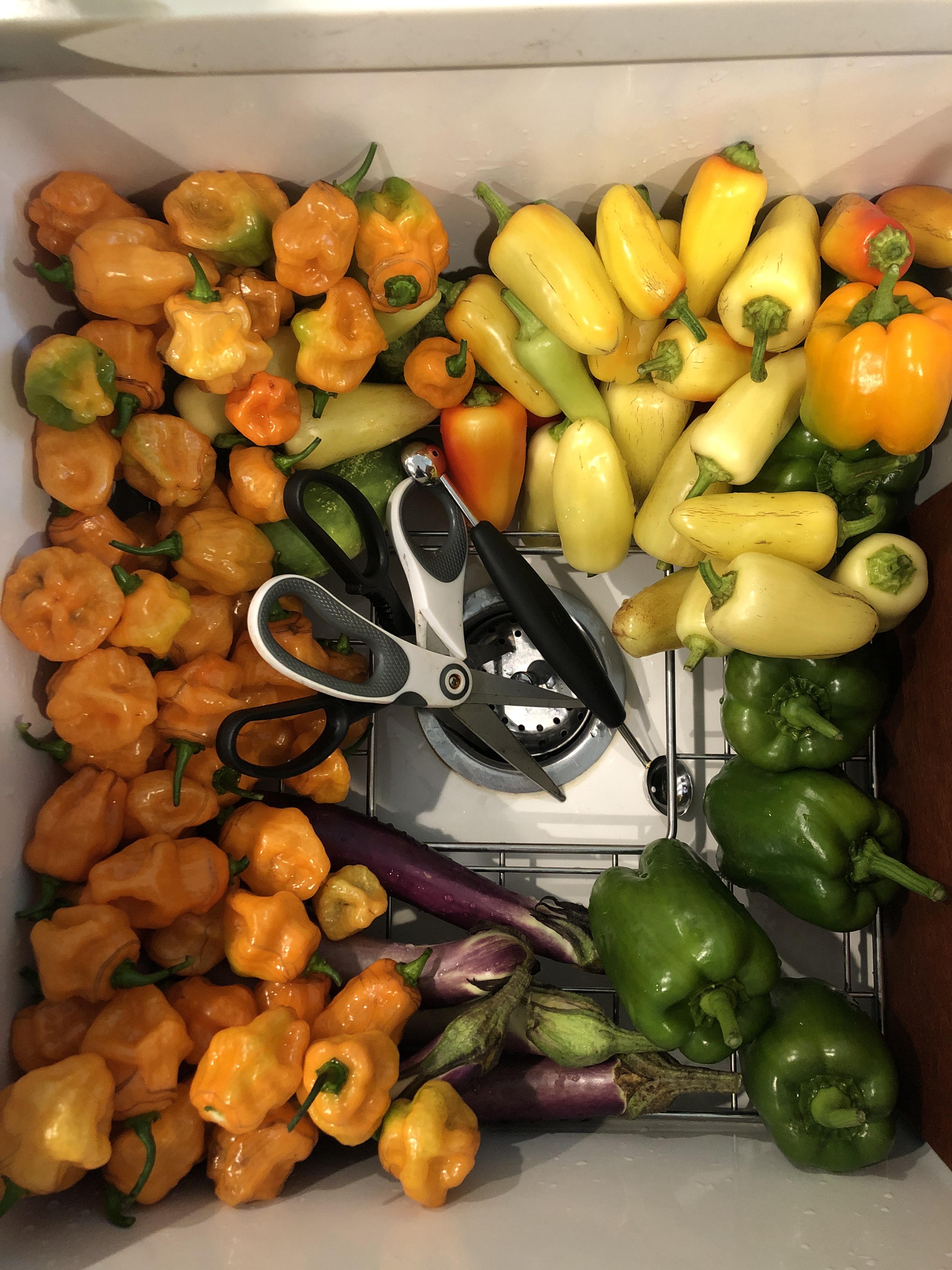 I like mediumhot sauces with some decent consistency. What should I do