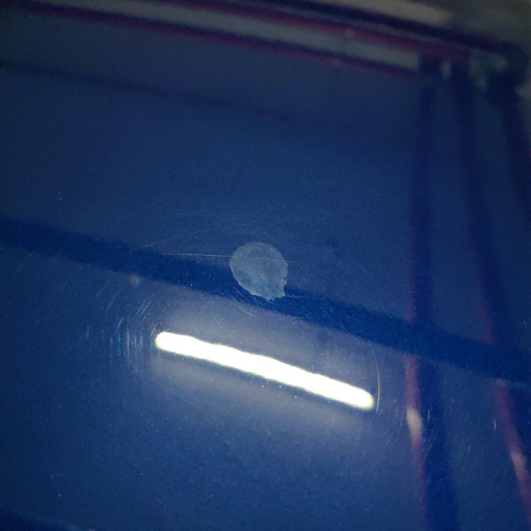 Not Tesla specific, but what's the best way to remove bird poop that