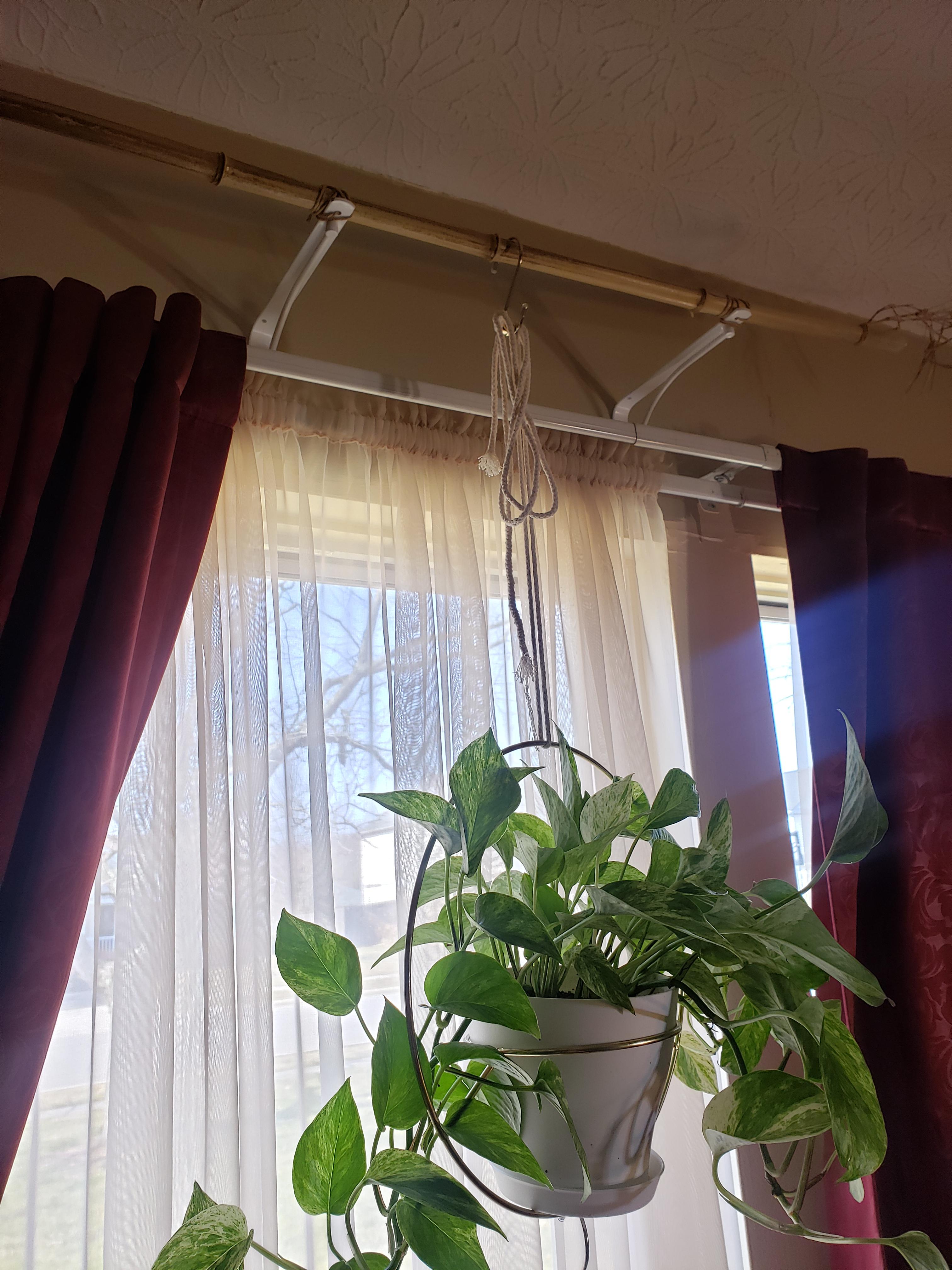 Using 6" shelf brackets to put hanging baskets in front of curtain rods