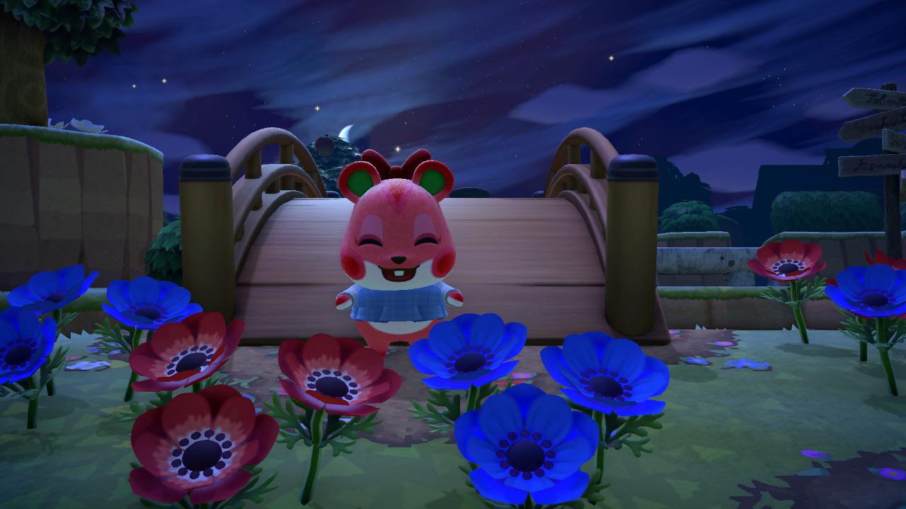 Anyone else have a villager they will NEVER let leave their island? 😅