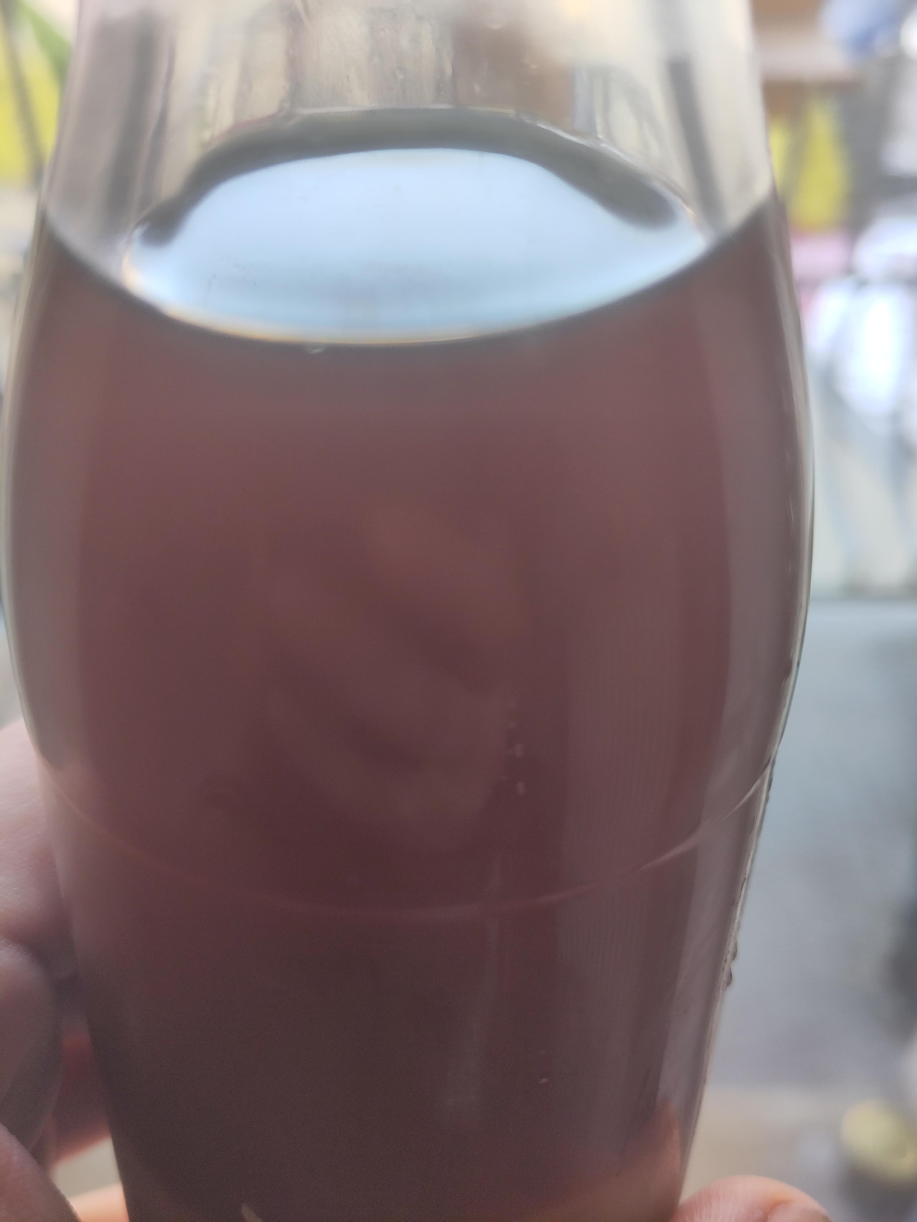 made smoked mushroom garum for myself.. not outstanding, but still pretty happy with my first