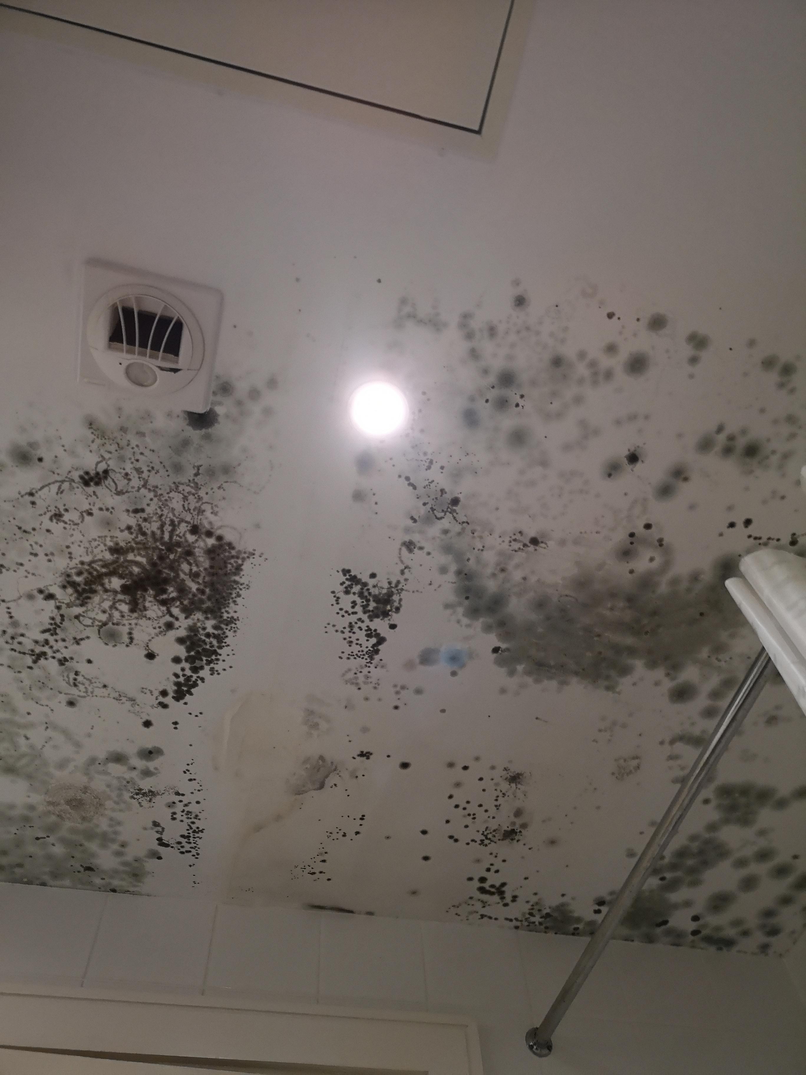 This started to apear on my bathroom's ceiling when there was a leak