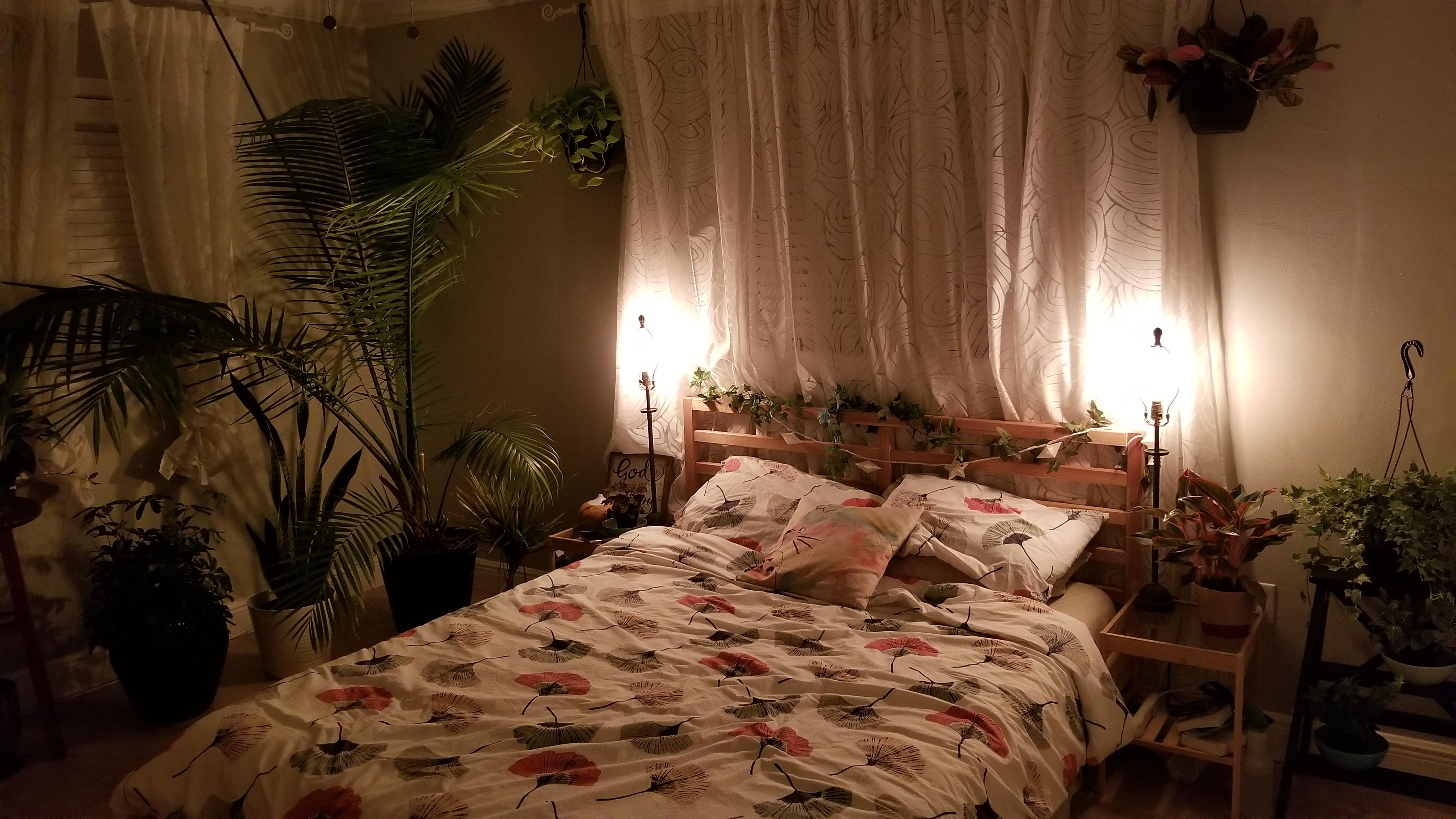 My cozy bedroom full of plants r/cozy