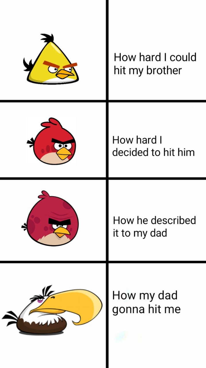 Angry Birds meme , anyone ? meme